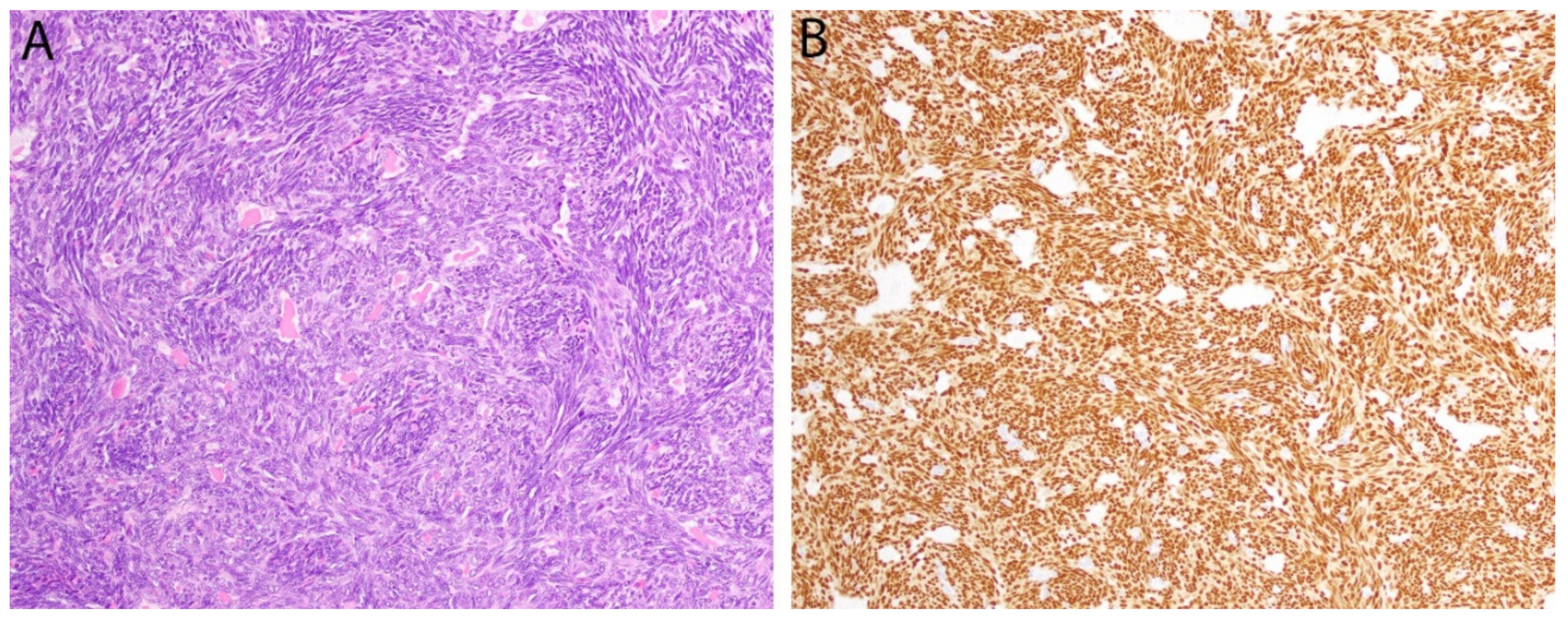 Diagnostics 11 00690 g003 Diagnostics 11 00690 g003