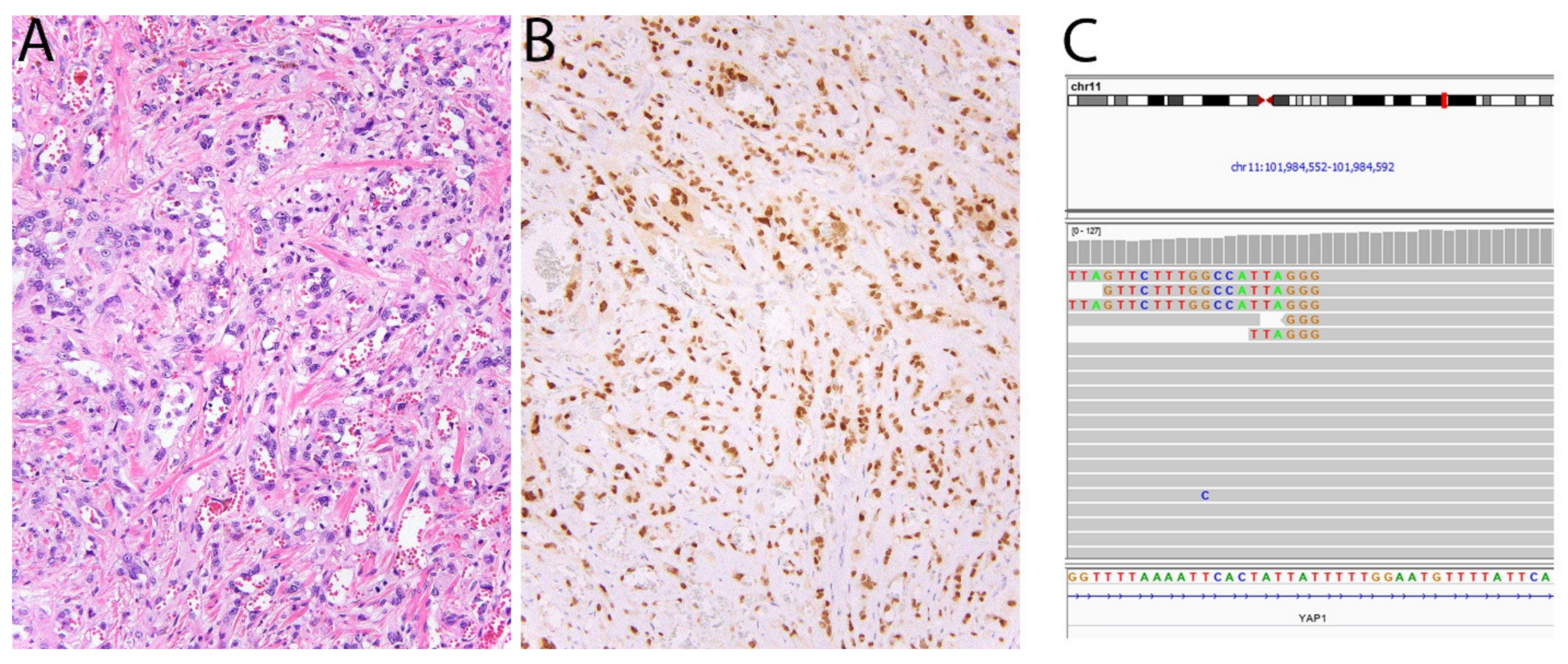 Diagnostics 11 00690 g005 Diagnostics 11 00690 g005