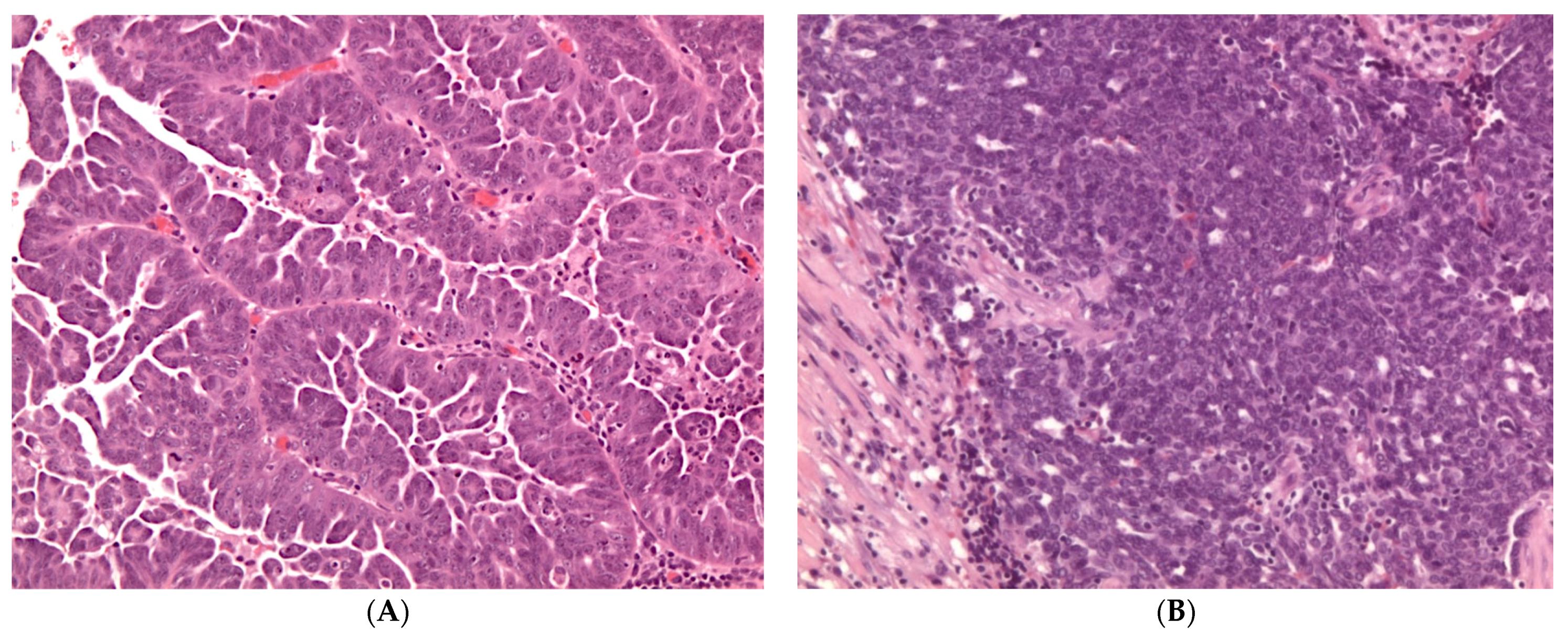 Diagnostics 11 00697 g001