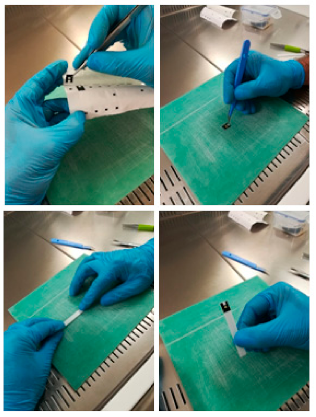Diagnostics 11 00698 g001 550