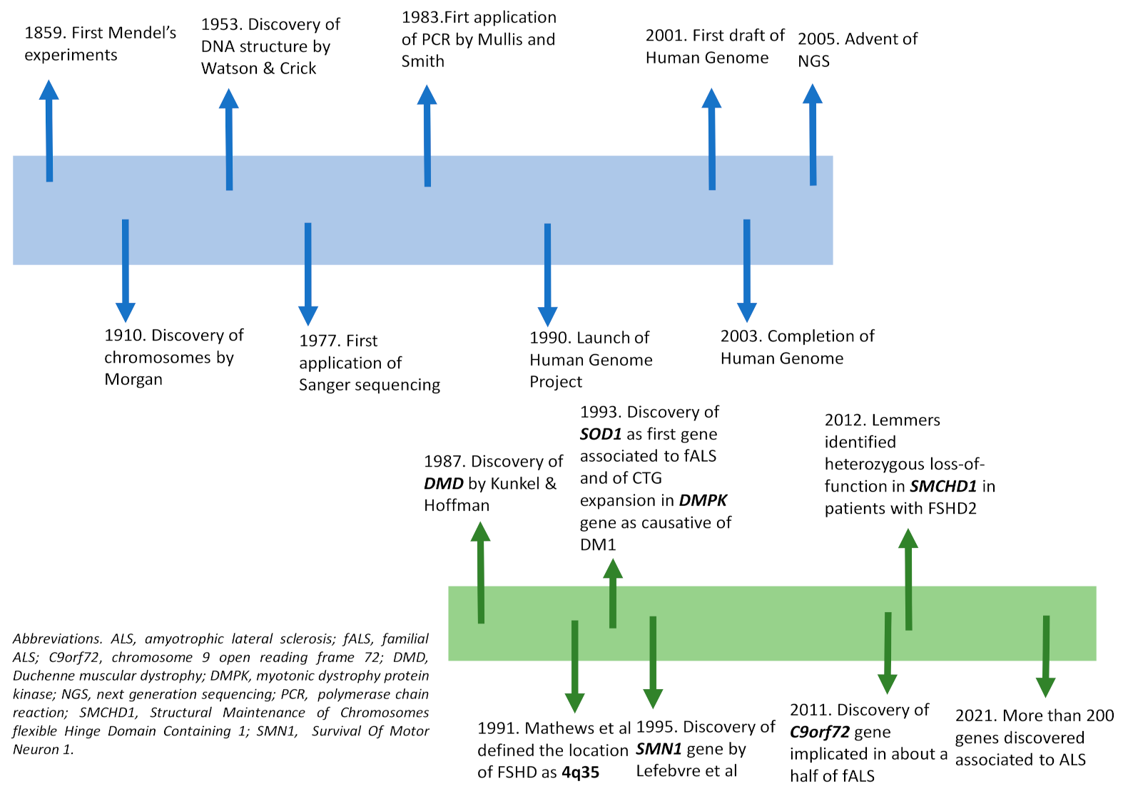 Diagnostics 11 00701 g001 Diagnostics 11 00701 g001
