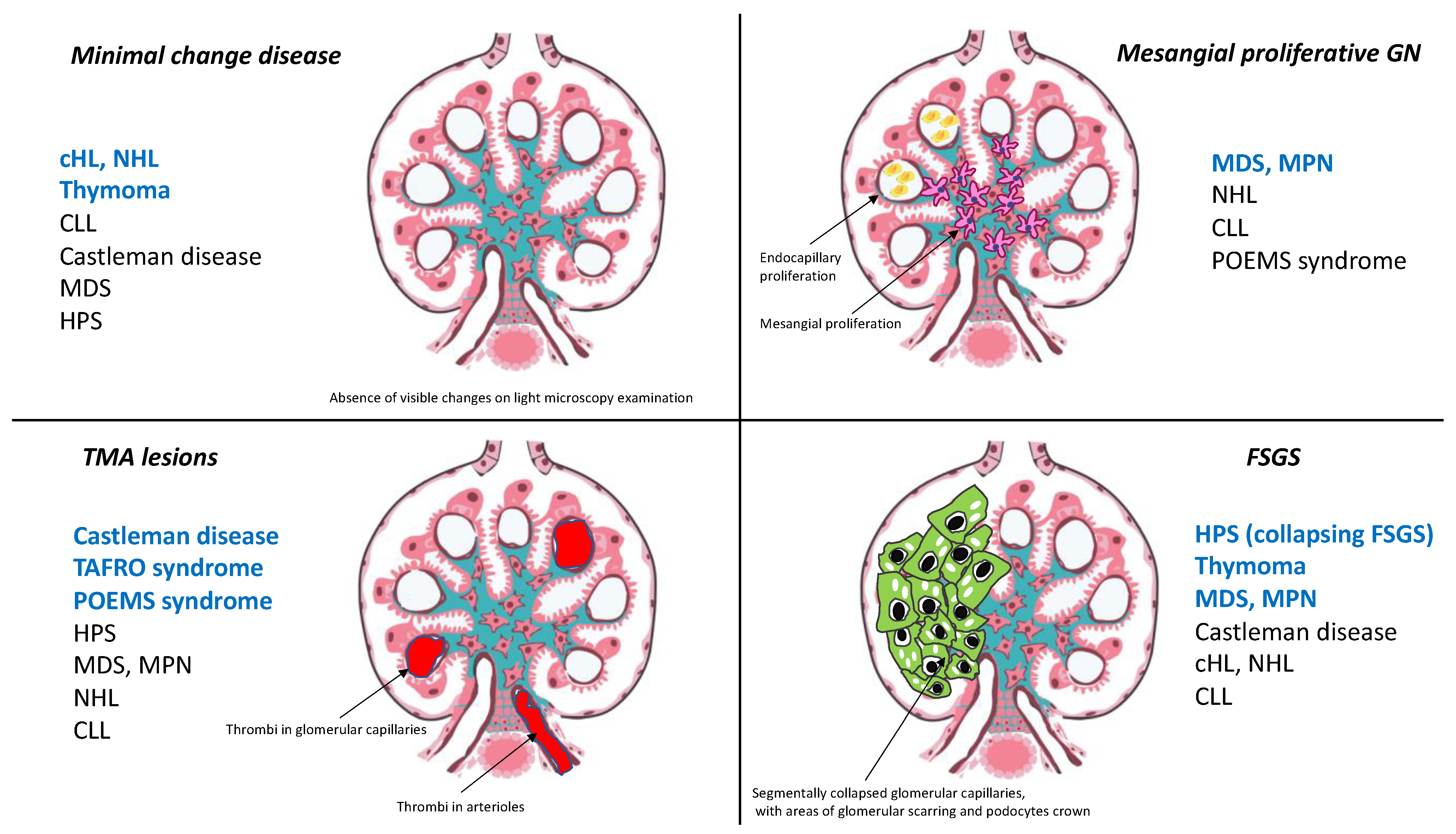 Diagnostics 11 00710 g001 Diagnostics 11 00710 g001
