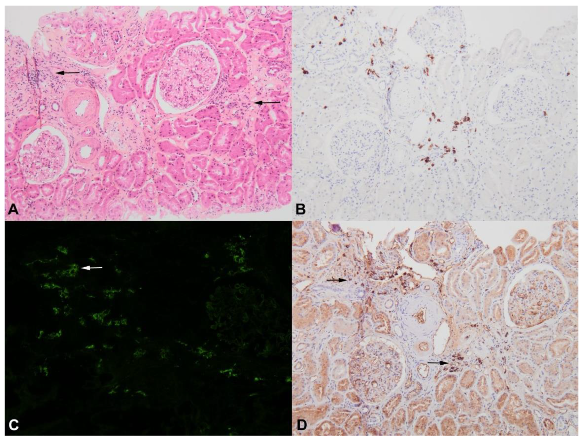 Diagnostics 11 00710 g004 Diagnostics 11 00710 g004