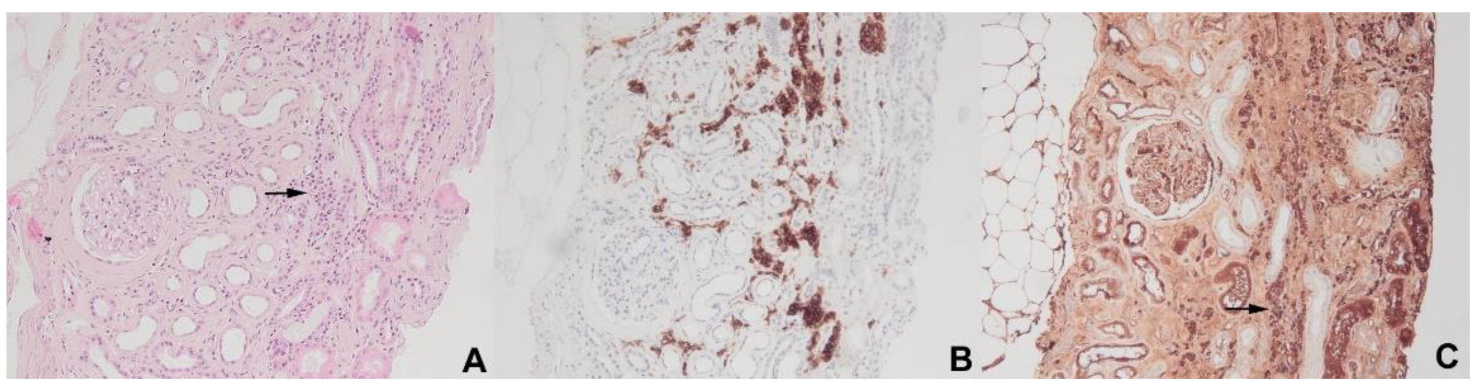 Diagnostics 11 00710 g005 Diagnostics 11 00710 g005