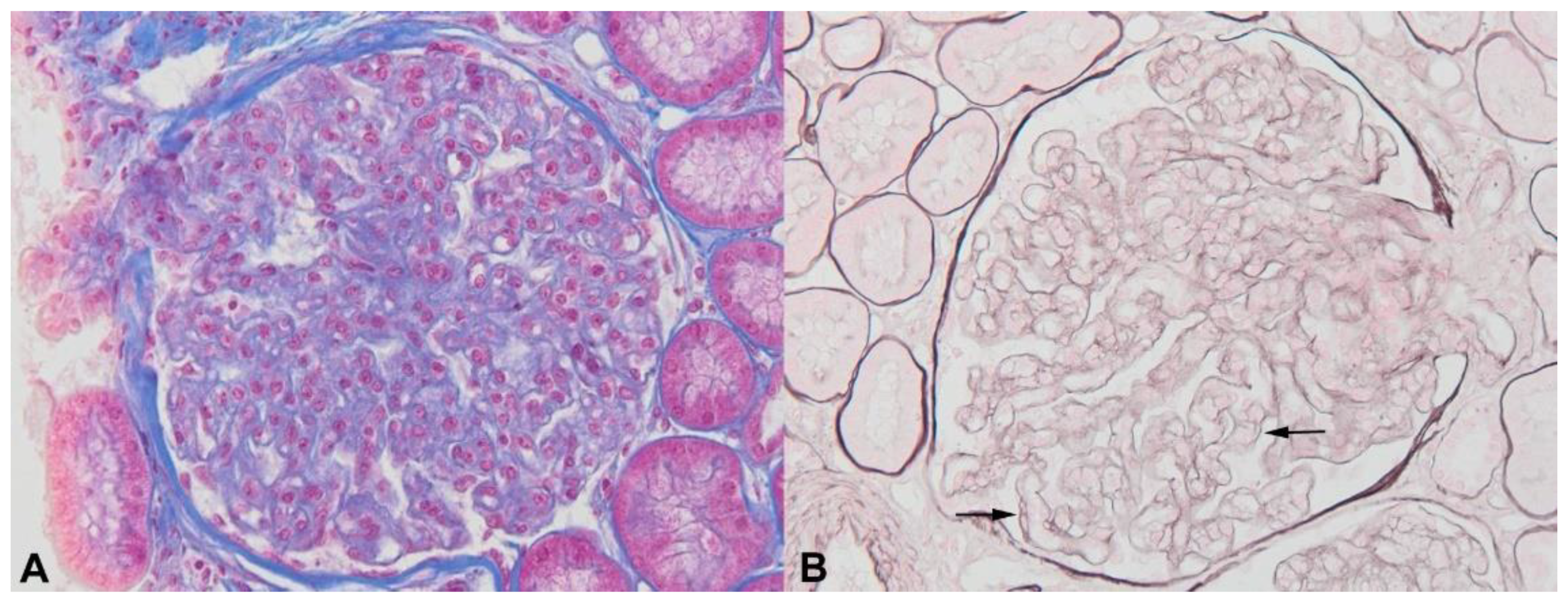 Diagnostics 11 00710 g006 Diagnostics 11 00710 g006