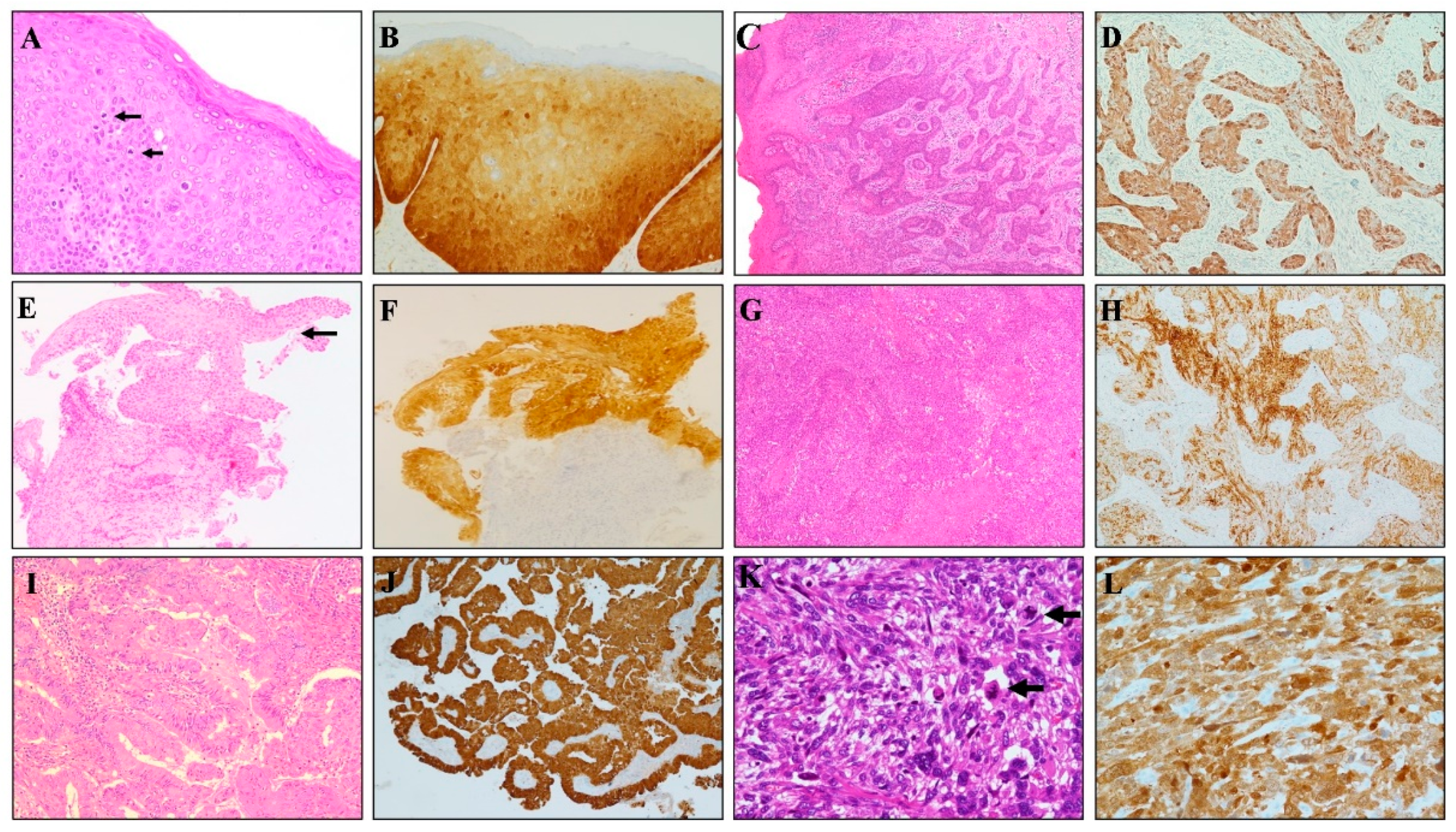 Diagnostics 11 00713 g001 Diagnostics 11 00713 g001