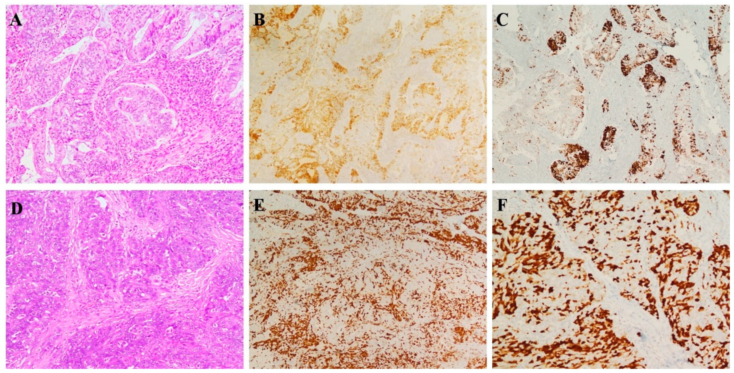 Diagnostics 11 00713 g002 Diagnostics 11 00713 g002