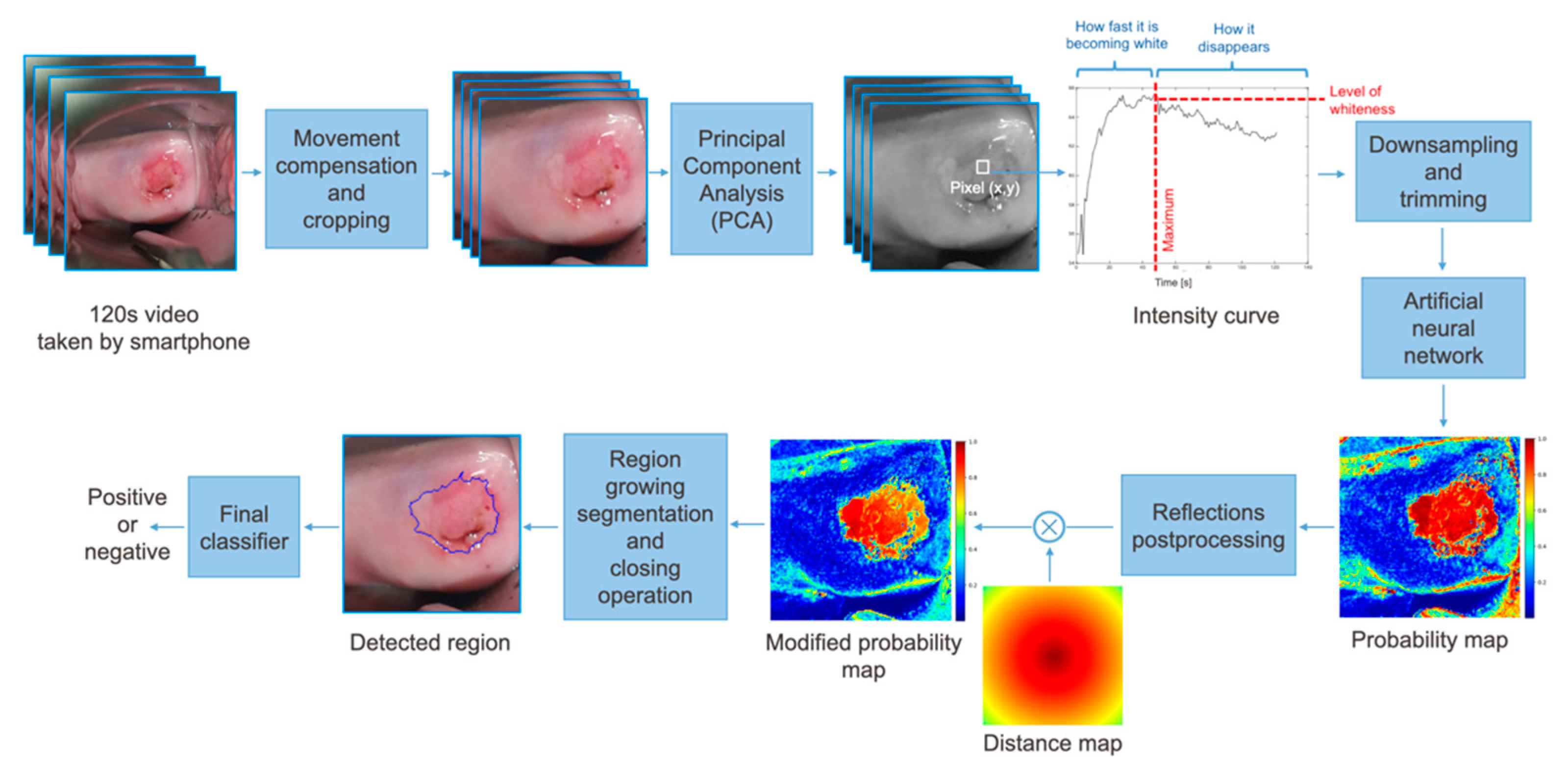 Diagnostics 11 00716 g002