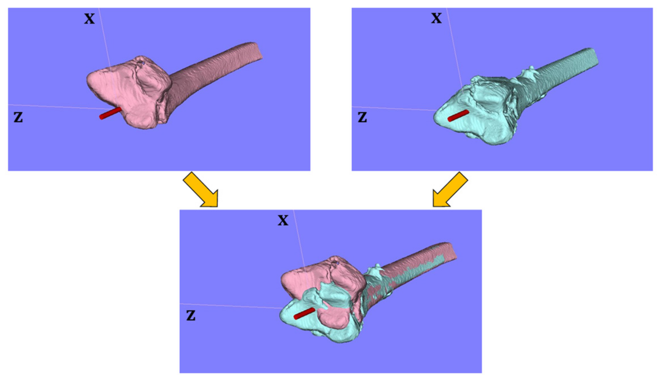 Diagnostics 11 00719 g001