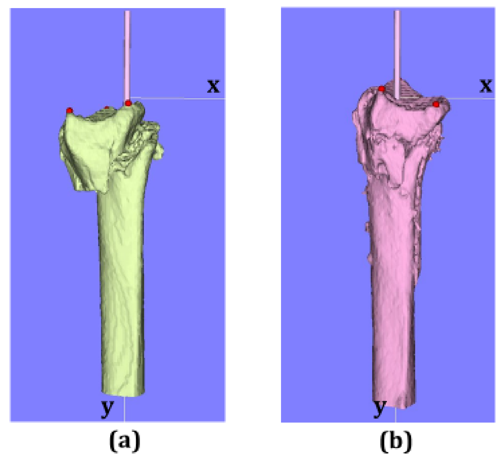 Diagnostics 11 00719 g003