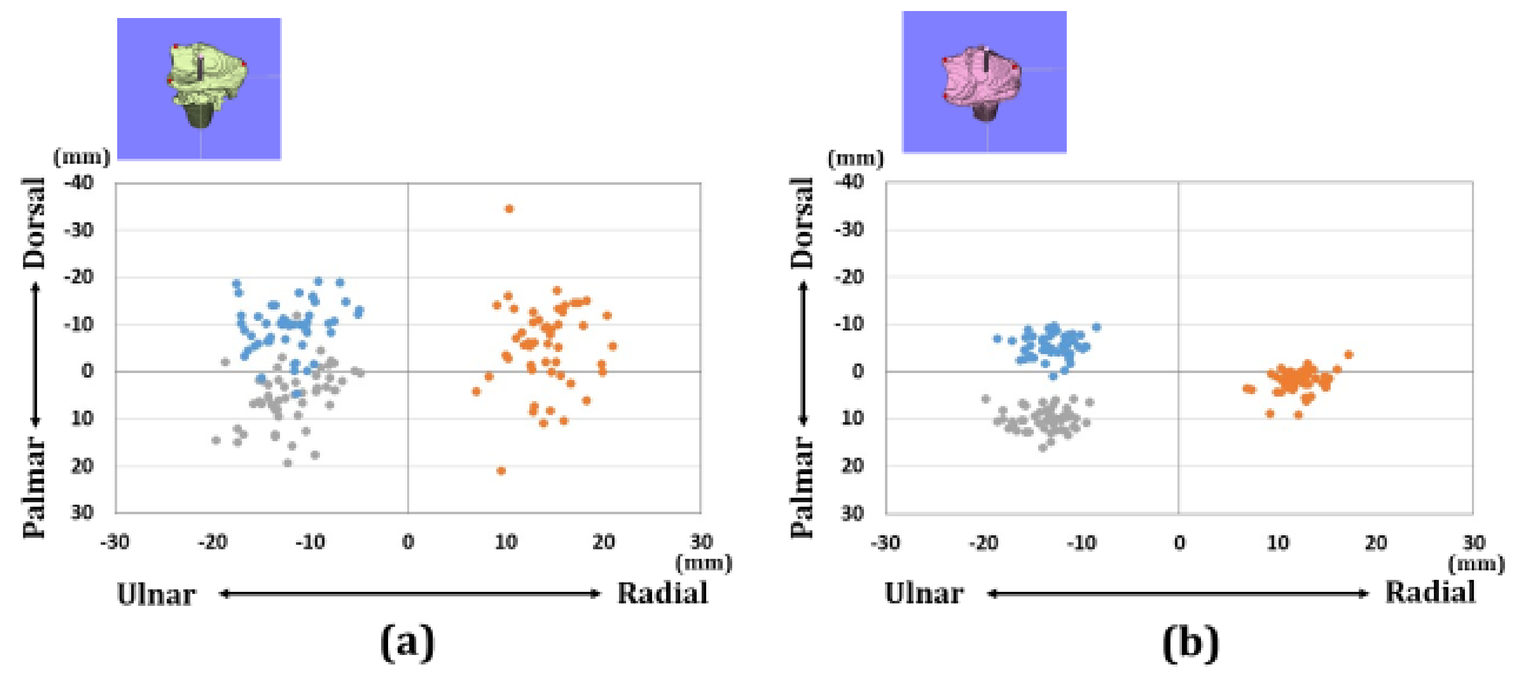 Diagnostics 11 00719 g005
