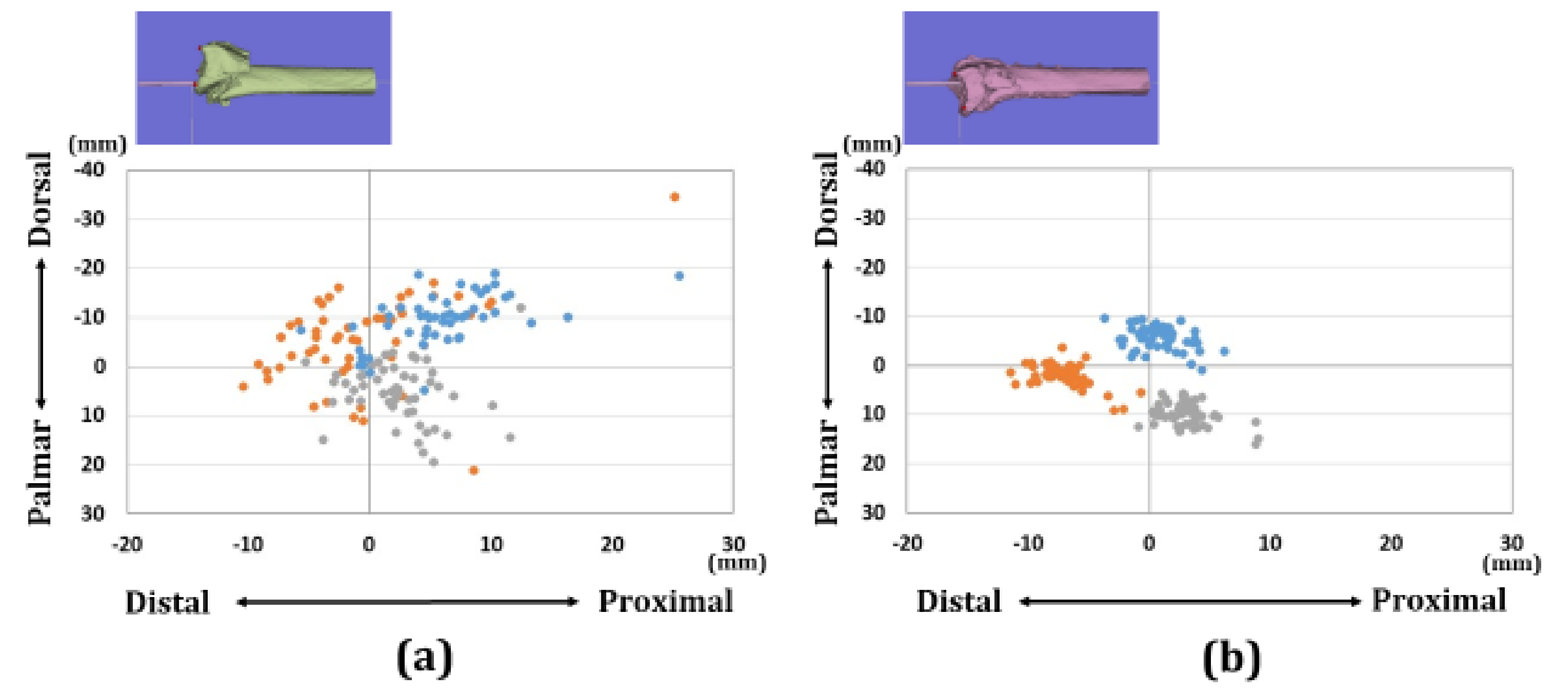 Diagnostics 11 00719 g006