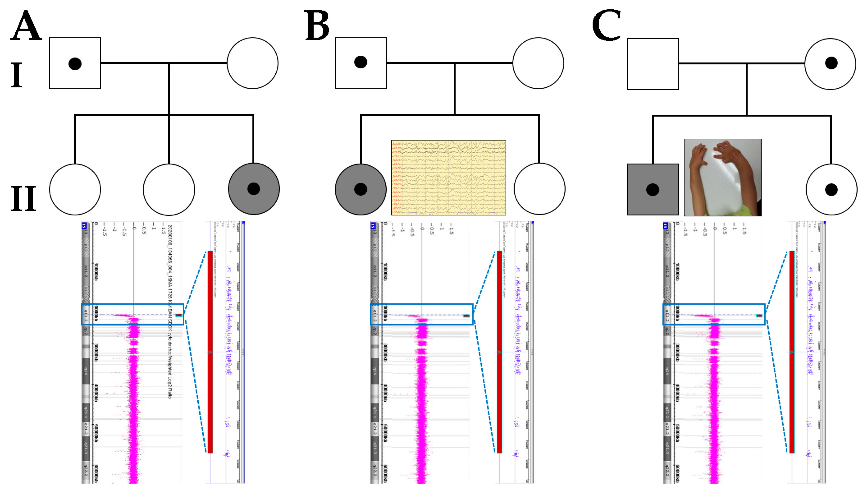 Diagnostics 11 00722 g001