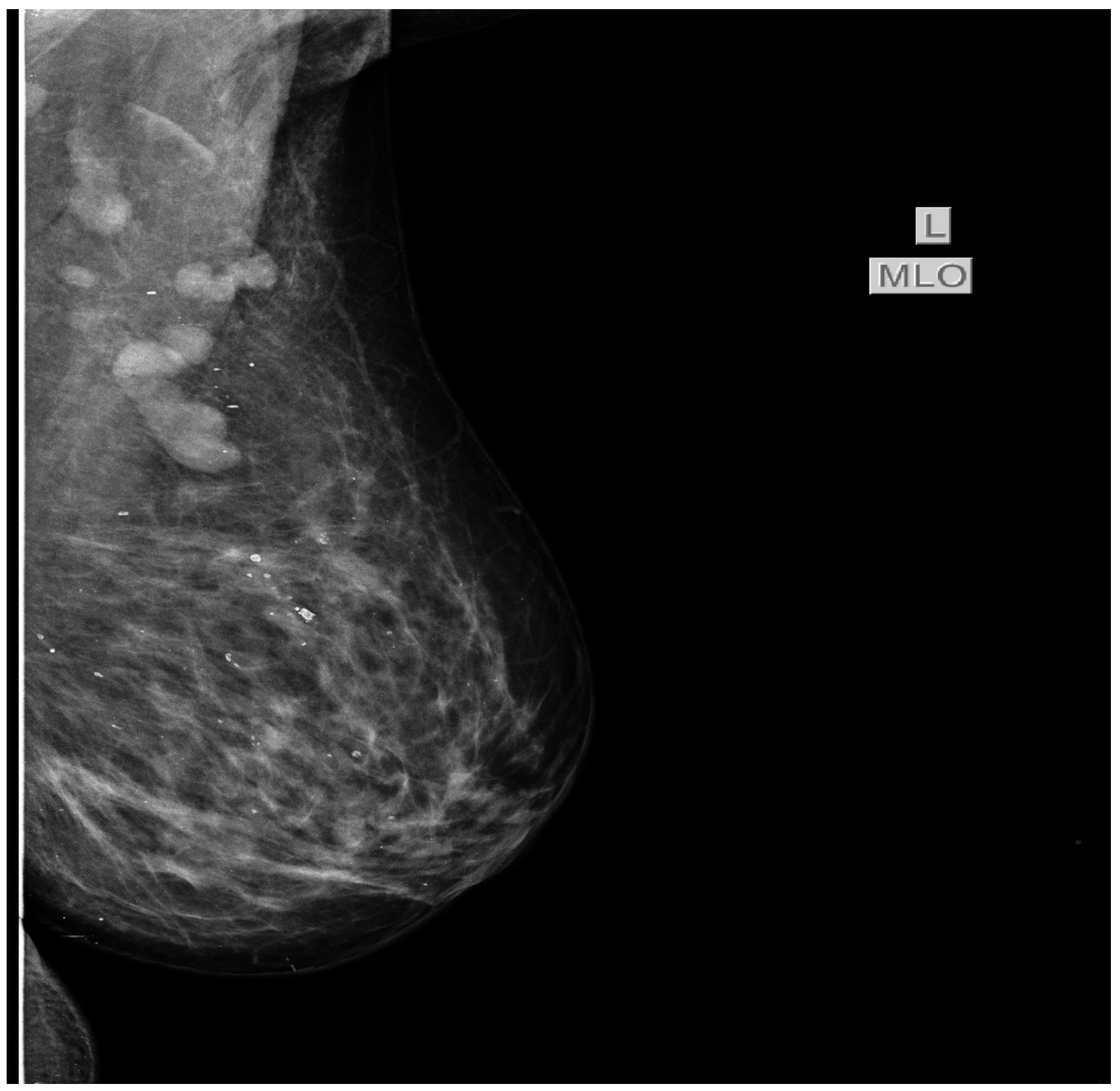 Diagnostics 11 00725 g003