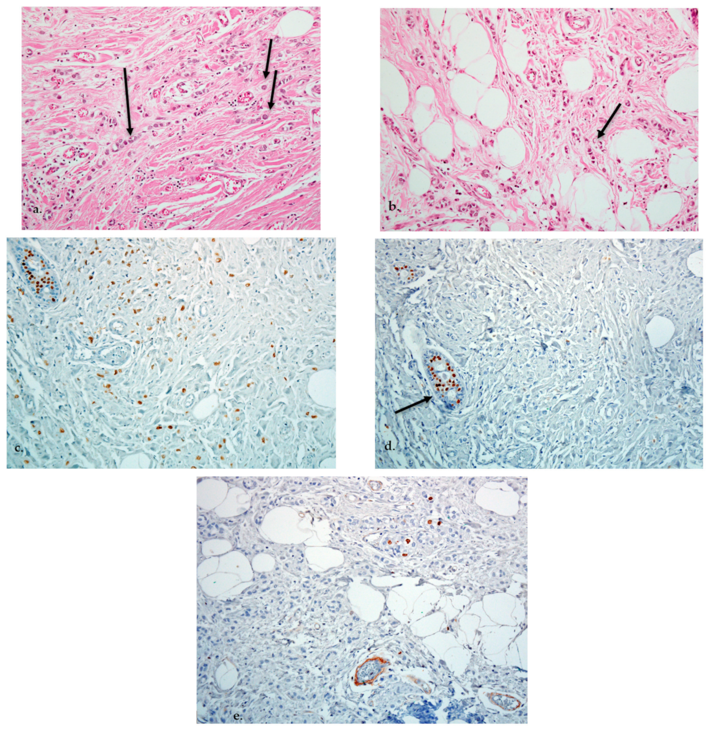 Diagnostics 11 00725 g005