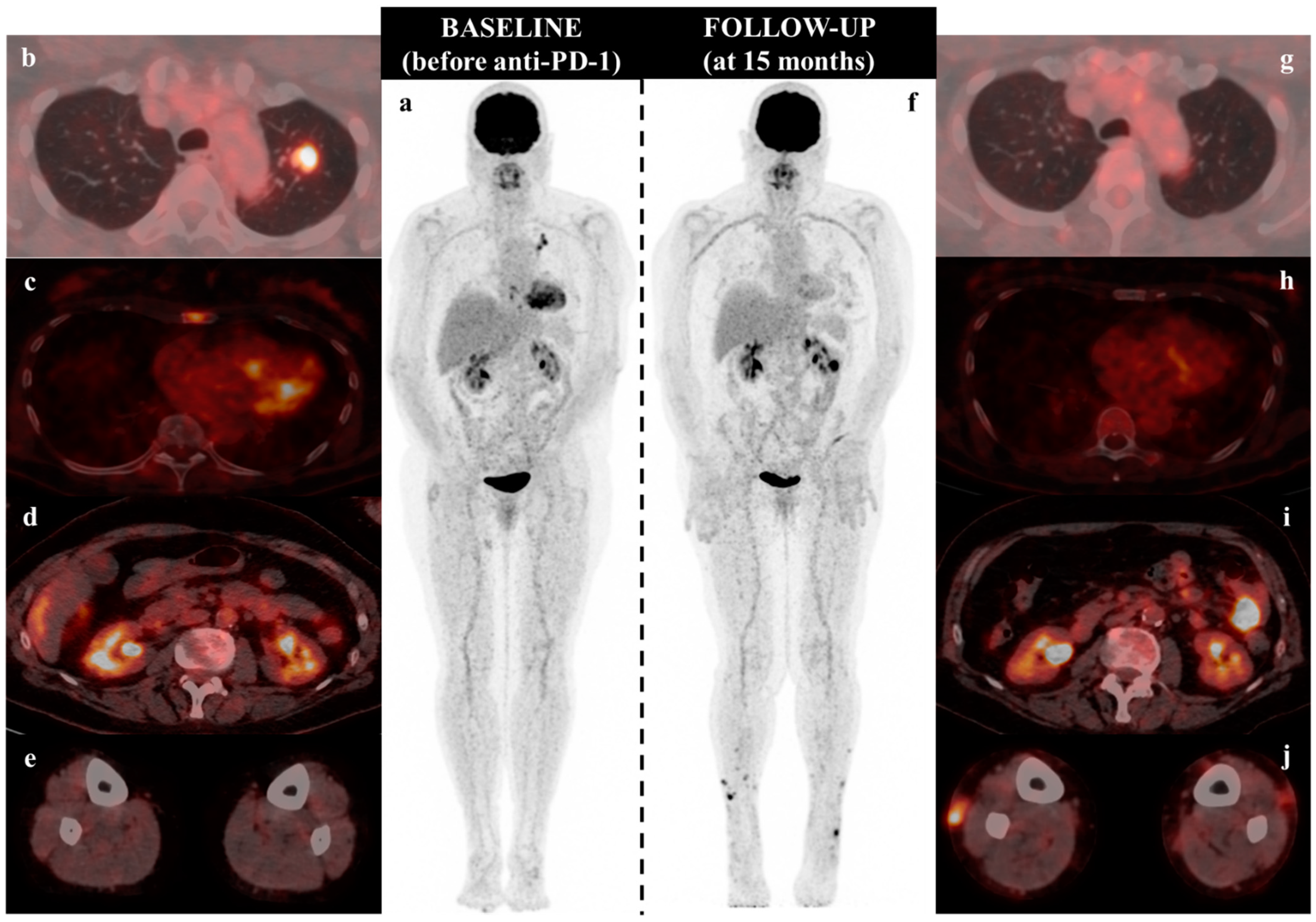 Diagnostics 11 00747 g001
