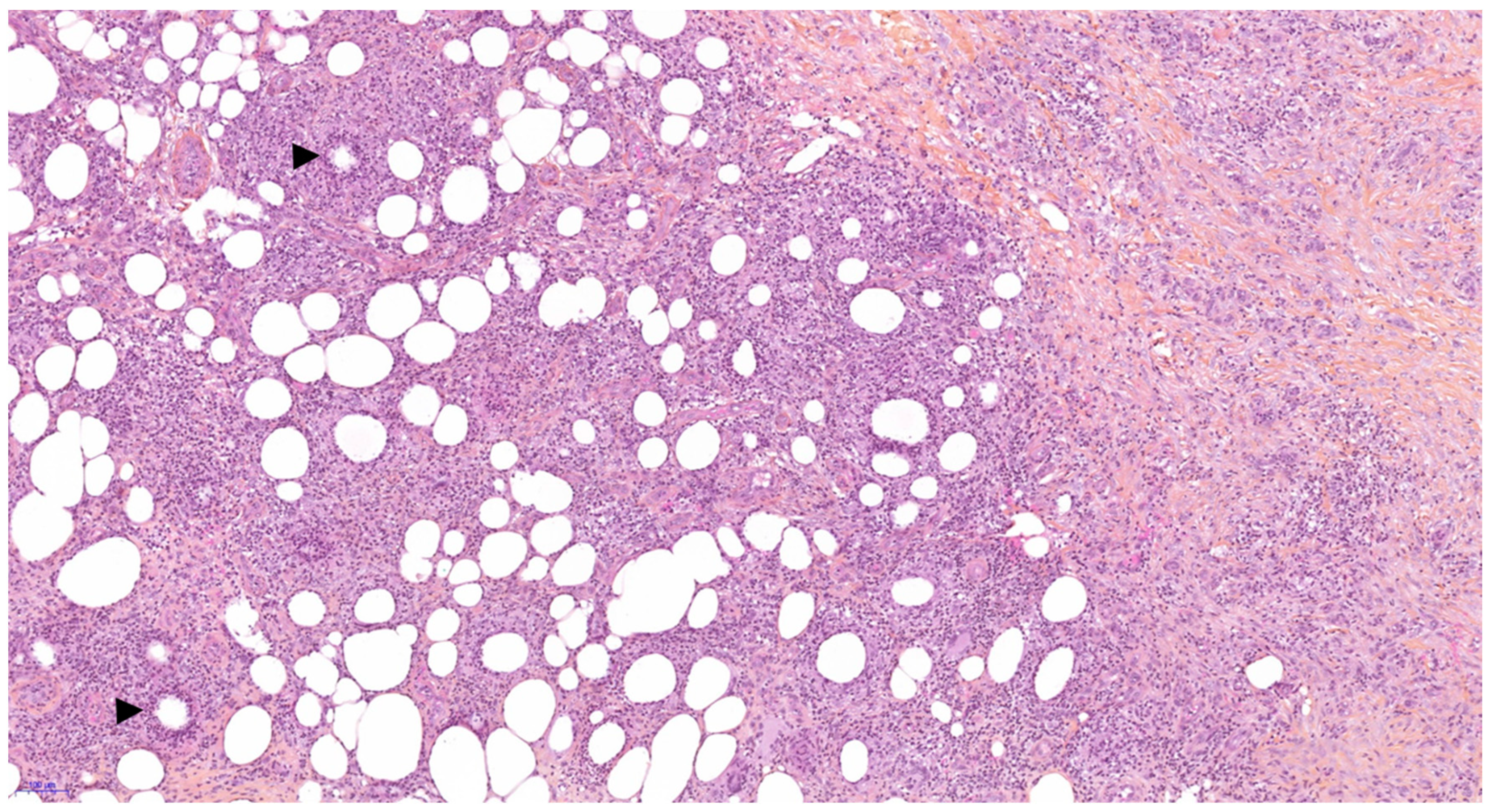 Diagnostics 11 00747 g002