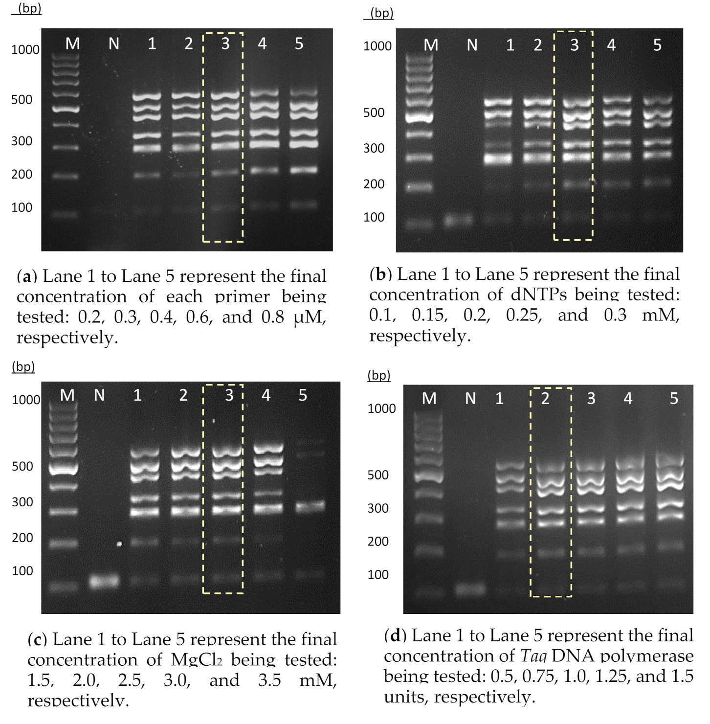 Diagnostics 11 00753 g001 Diagnostics 11 00753 g001