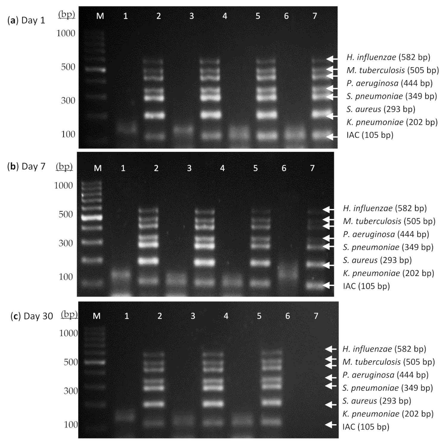 Diagnostics 11 00753 g003a Diagnostics 11 00753 g003a