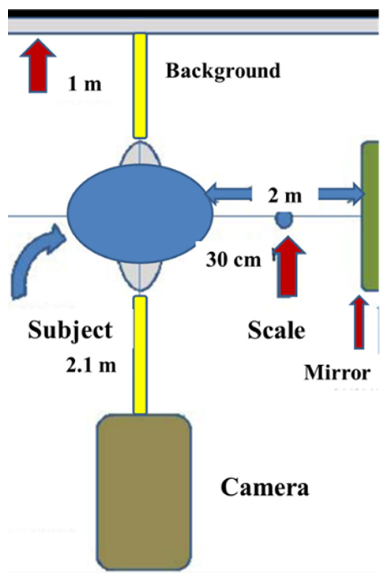Diagnostics 11 00757 g001