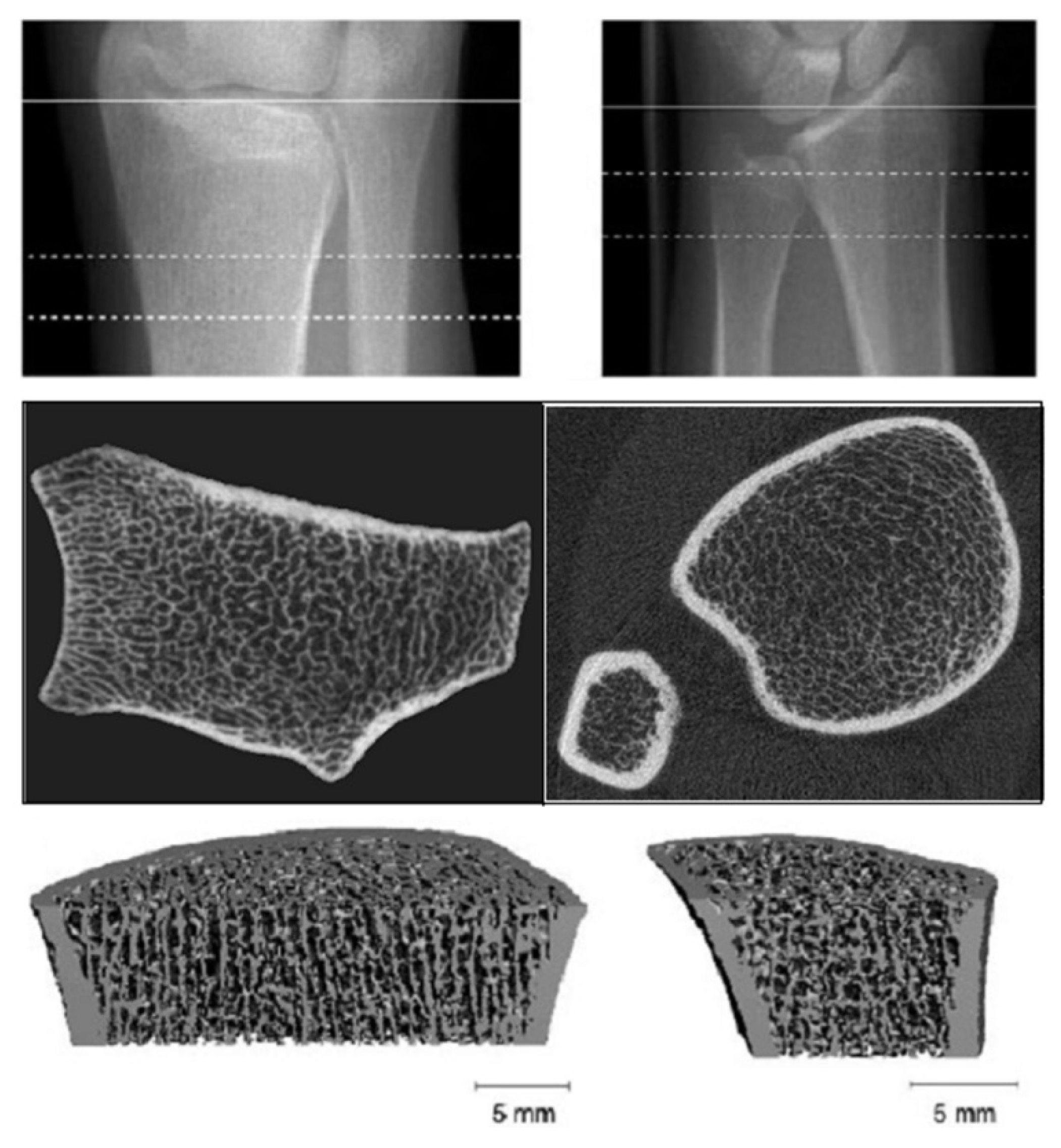 Diagnostics 11 00772 g005 Diagnostics 11 00772 g005