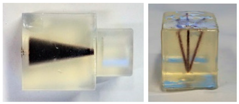 Diagnostics 11 00773 i005 Diagnostics 11 00773 i005