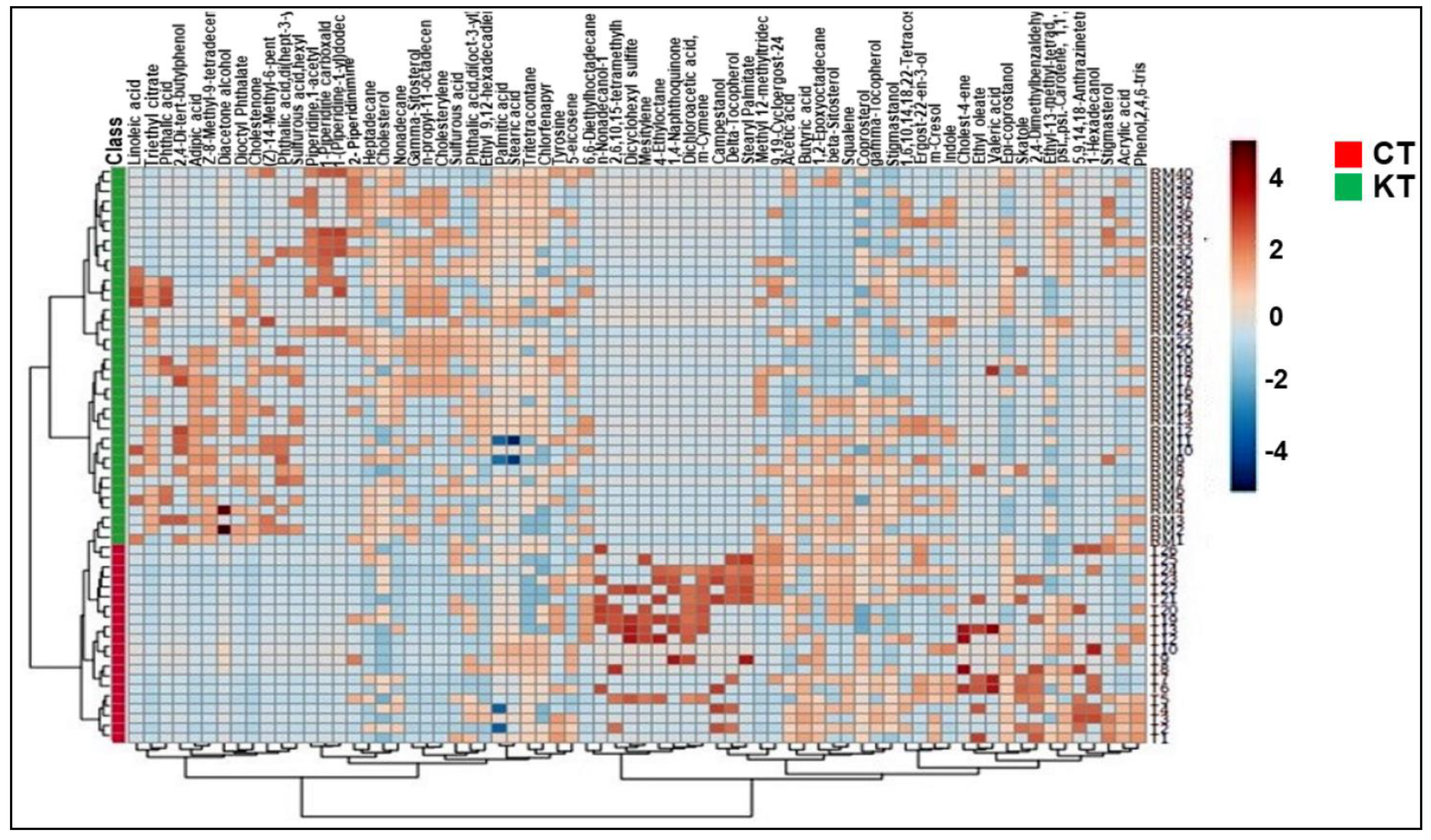 Diagnostics 11 00807 g005 Diagnostics 11 00807 g005