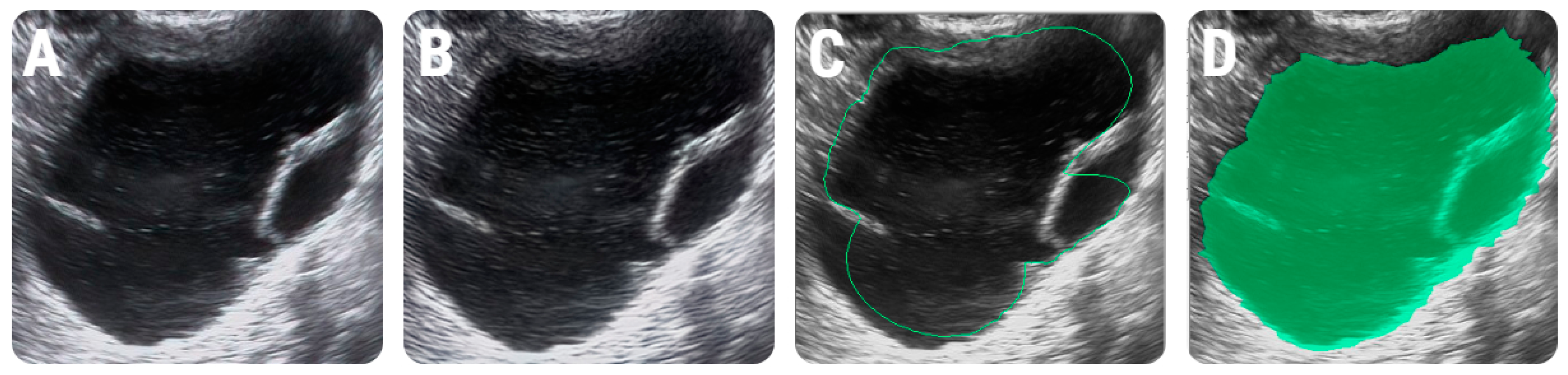 Diagnostics 11 00812 g001 Diagnostics 11 00812 g001