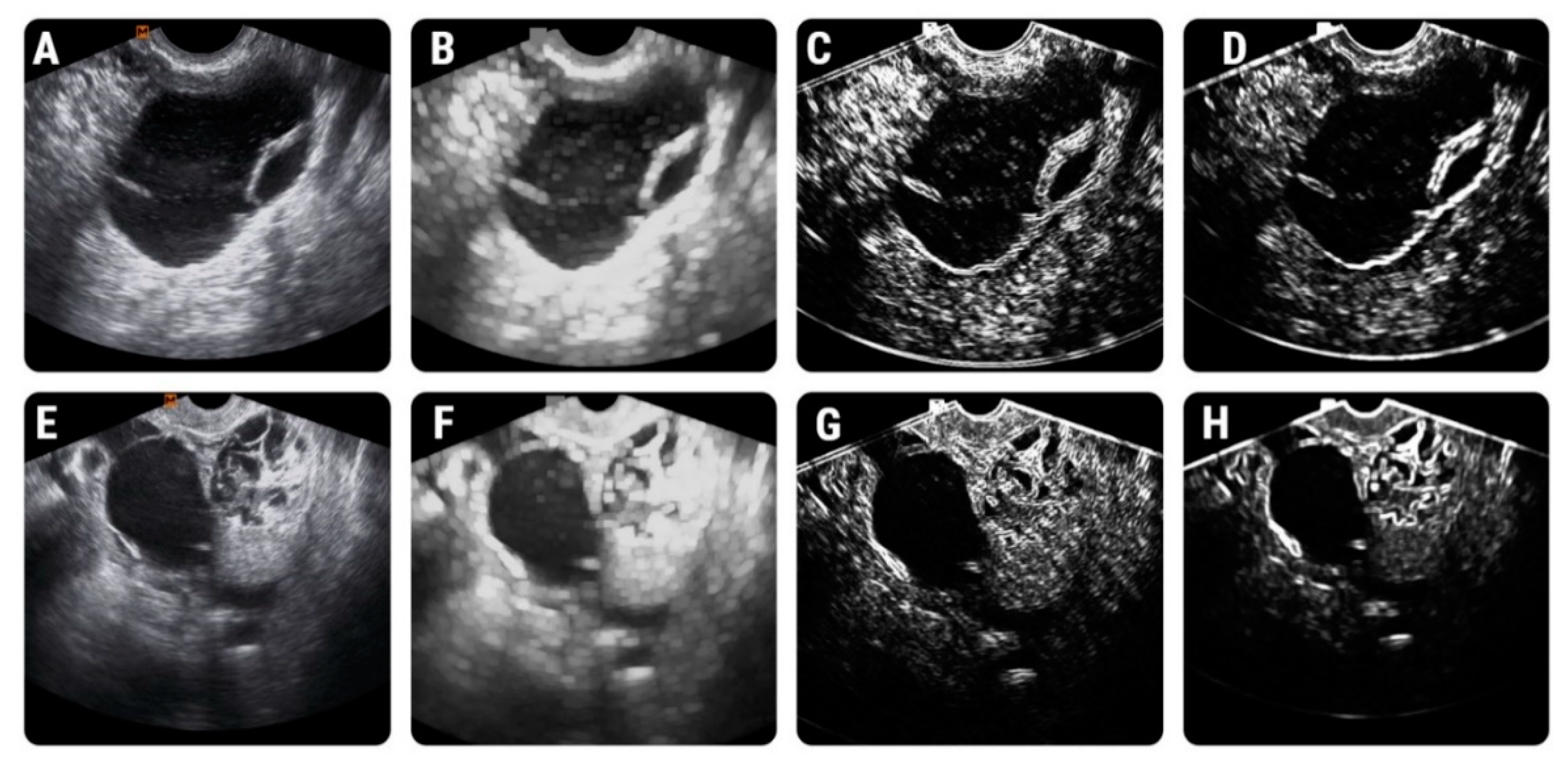 Diagnostics 11 00812 g004 Diagnostics 11 00812 g004