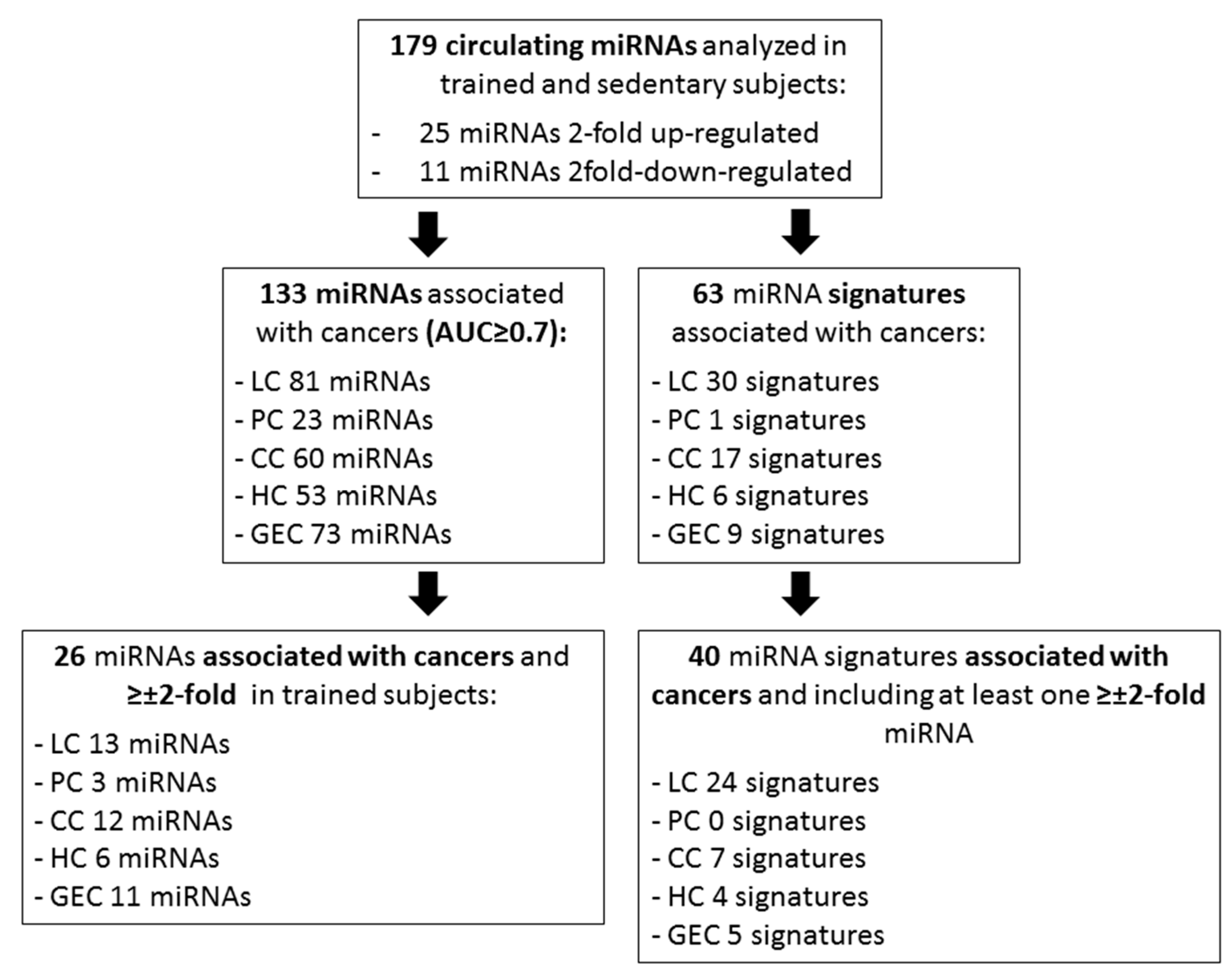 20-60代 人気ファッションブランド A Physically Active Status Affects the Circulating Profile テーブル・机