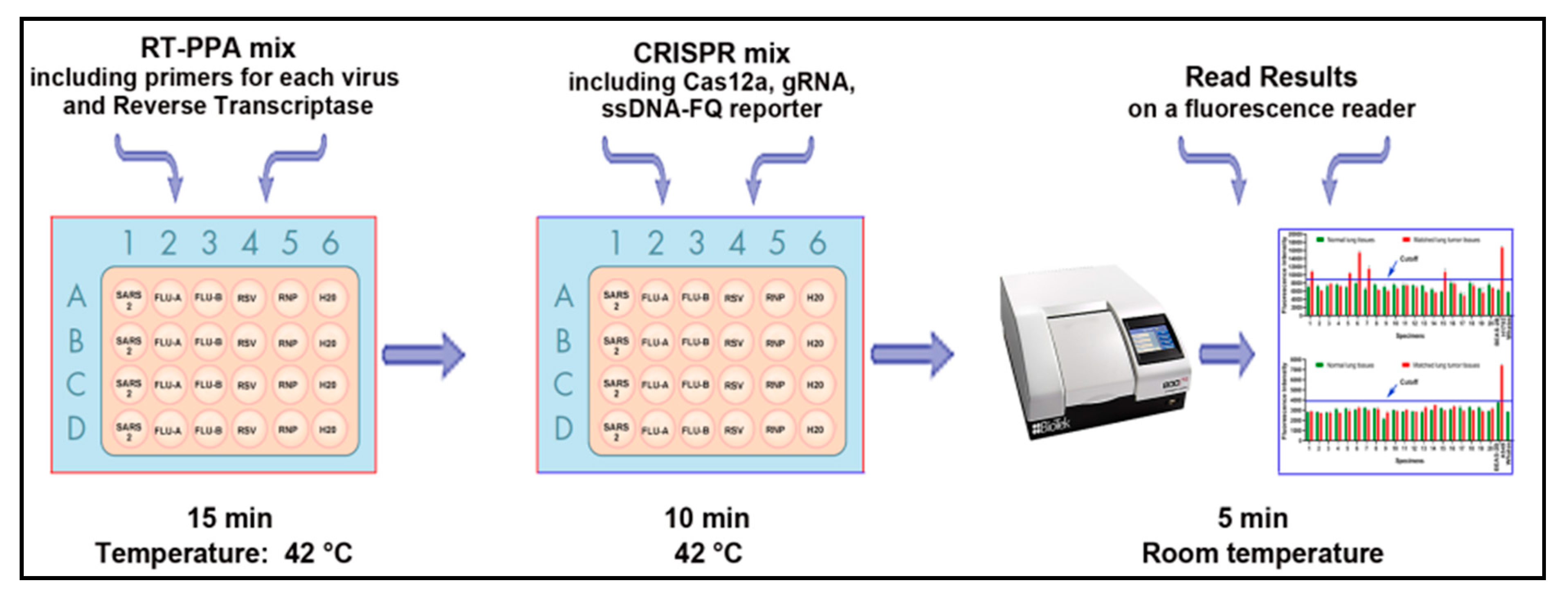 Diagnostics 11 00823 g001