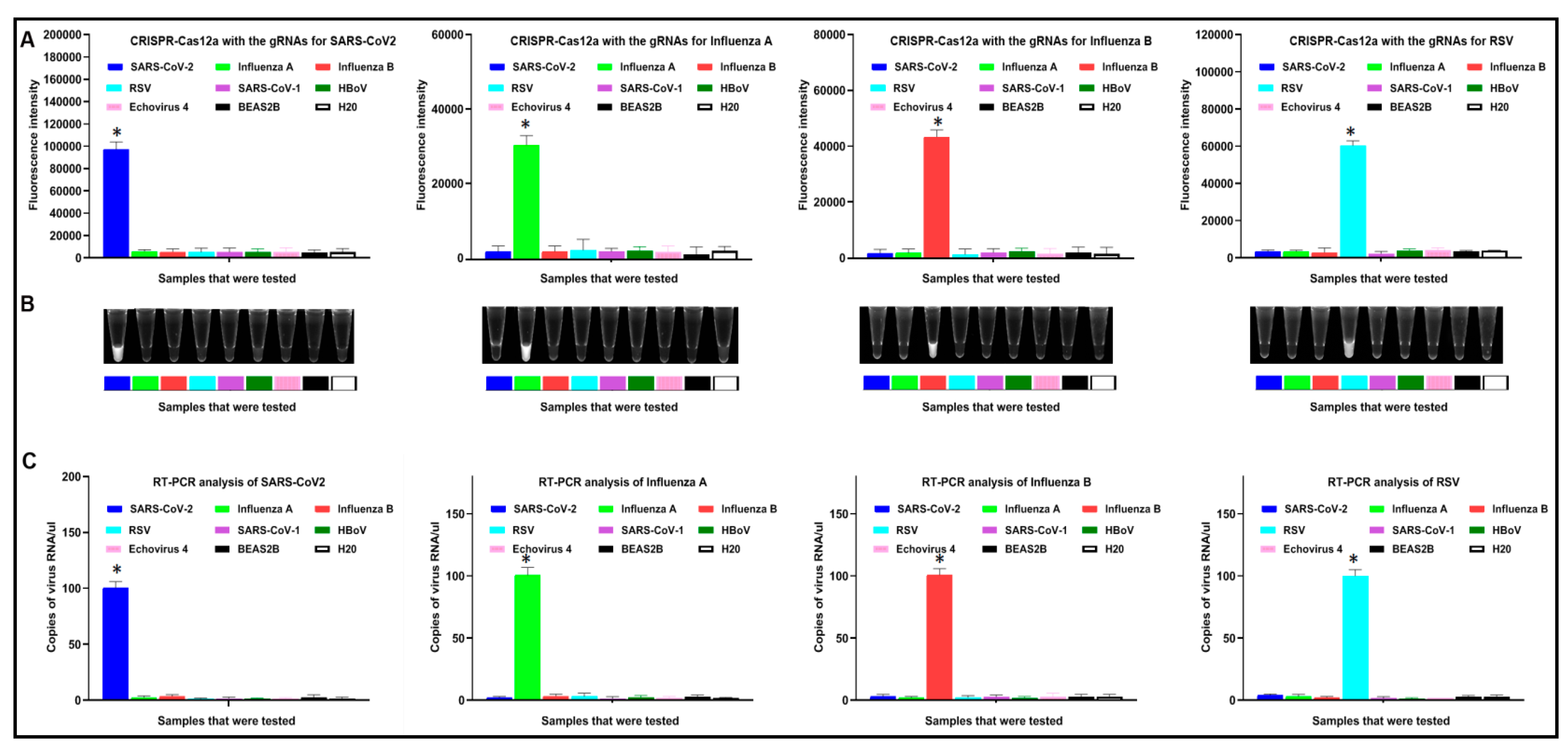 Diagnostics 11 00823 g003