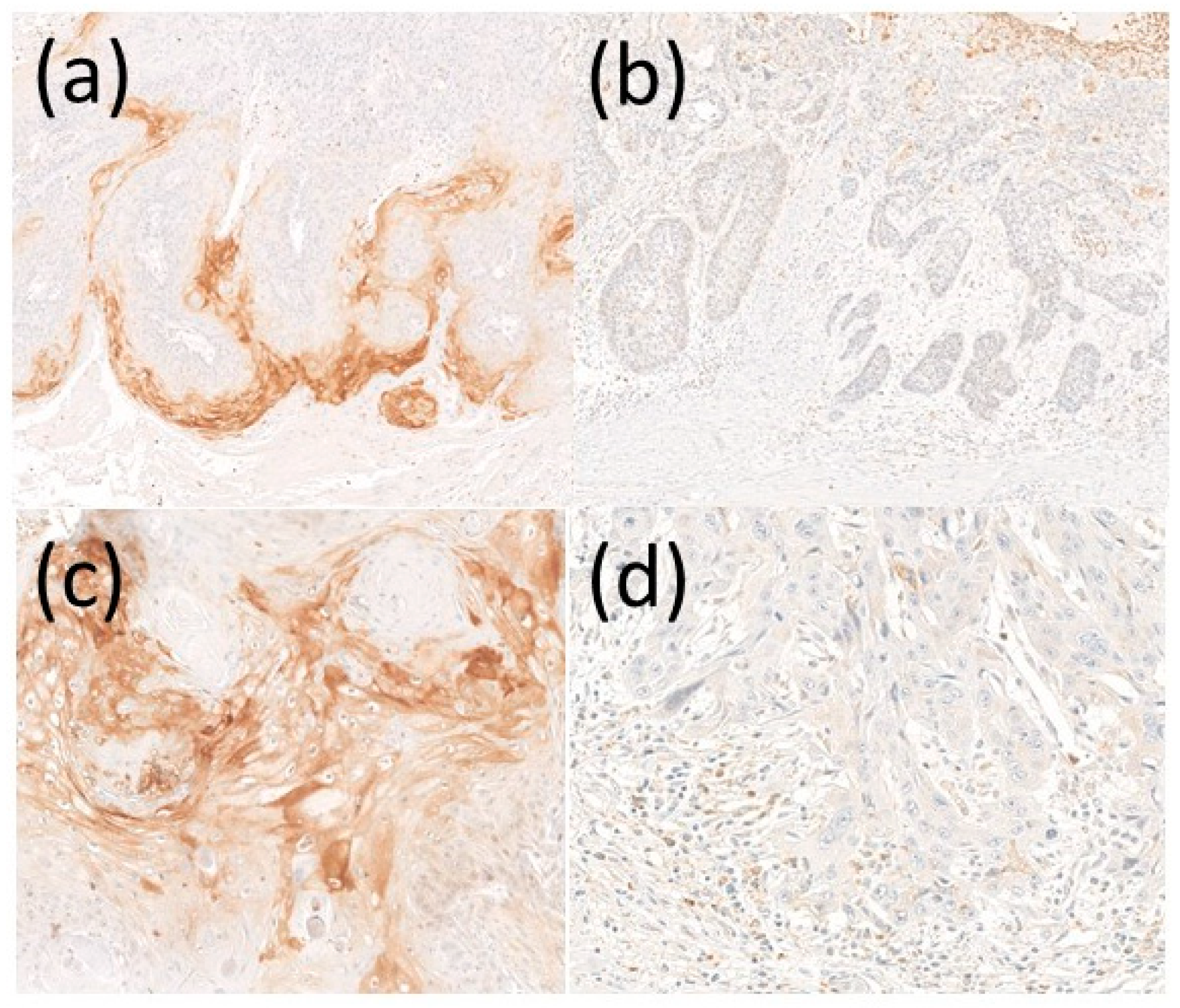 Diagnostics 11 00830 g001 Diagnostics 11 00830 g001