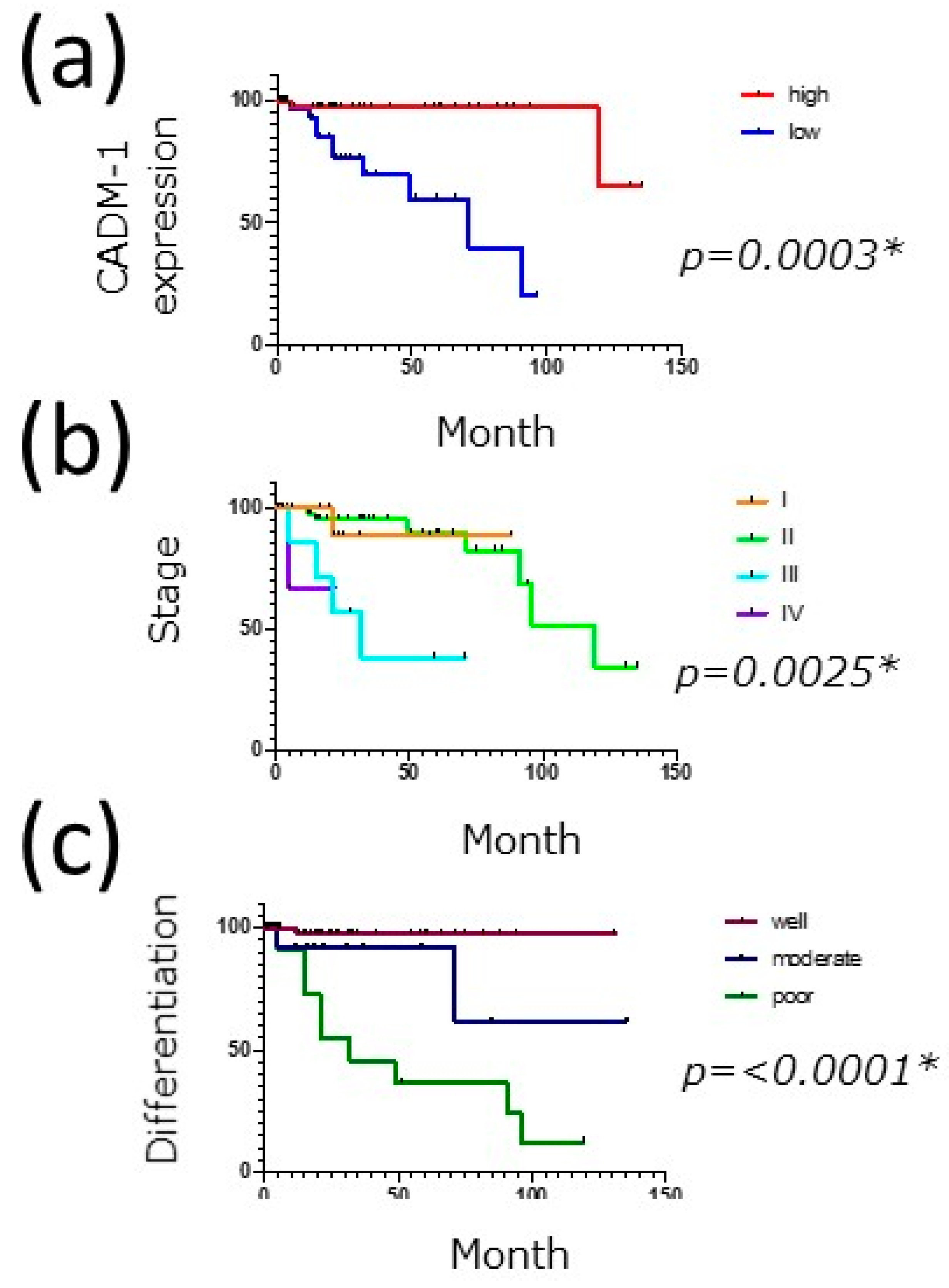 Diagnostics 11 00830 g002 Diagnostics 11 00830 g002