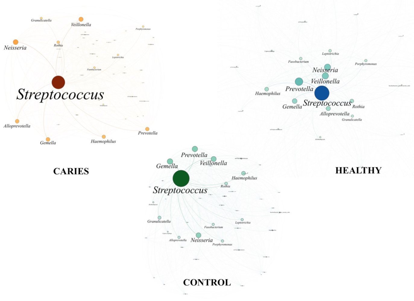 Diagnostics 11 00835 g004 Diagnostics 11 00835 g004