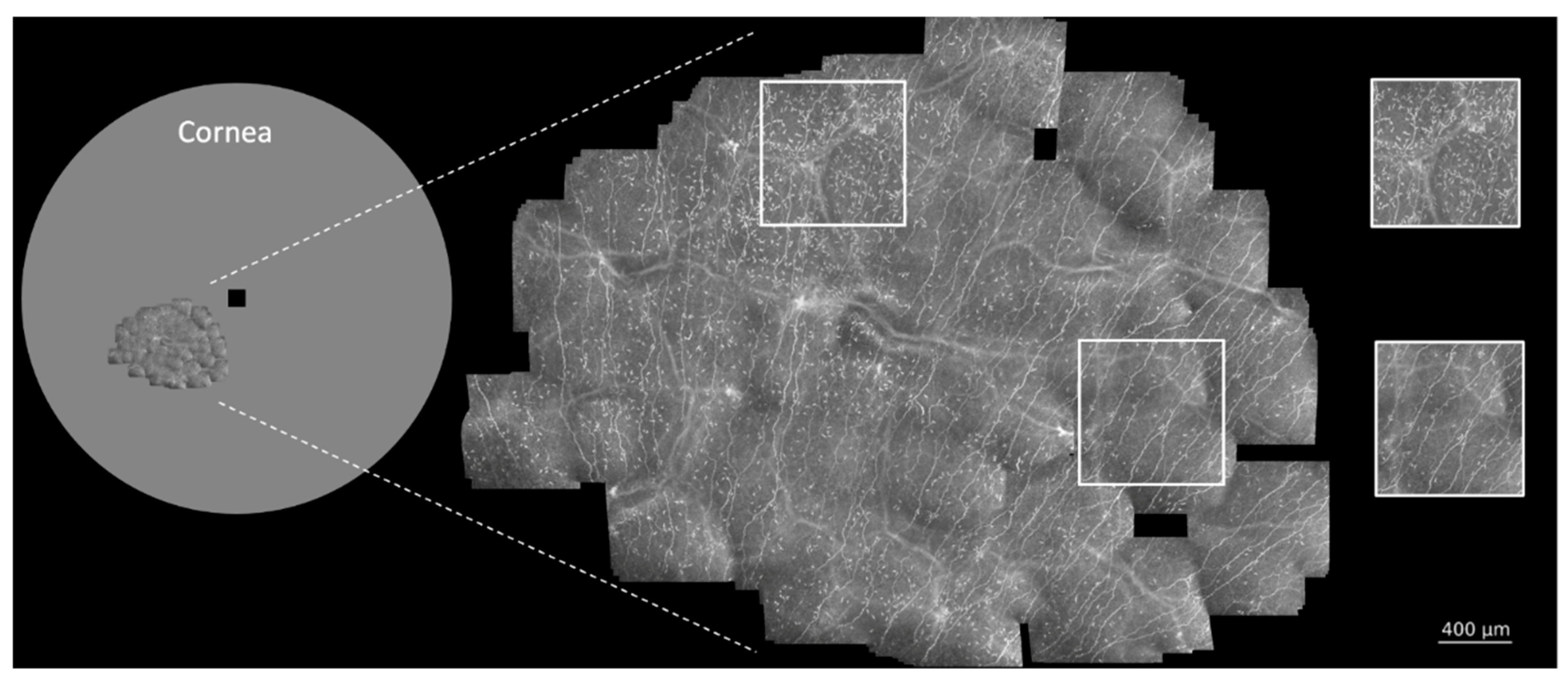 Diagnostics 11 00838 g001