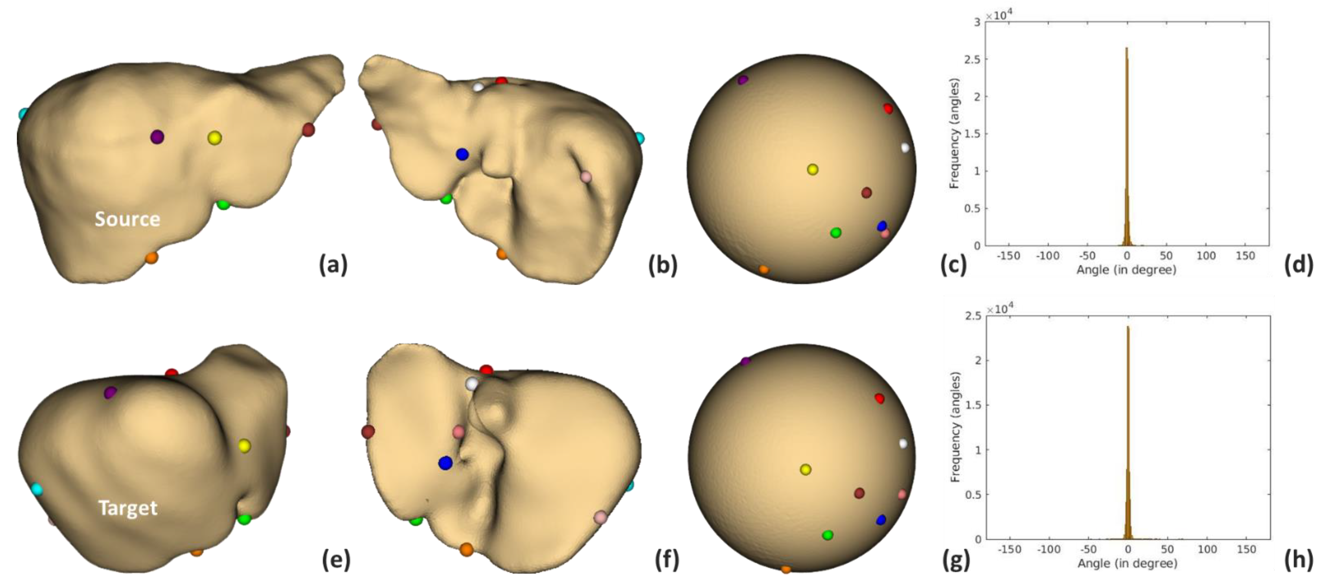 Diagnostics 11 00852 g007
