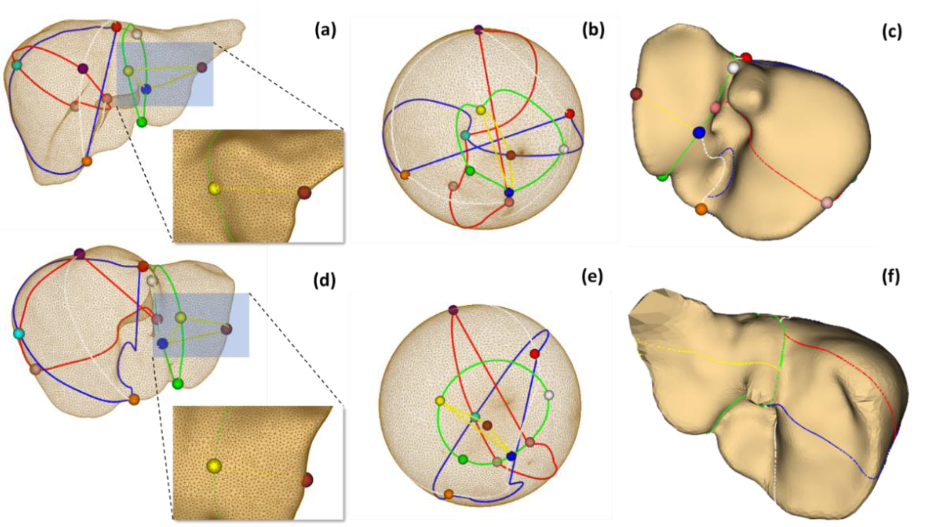 Diagnostics 11 00852 g009