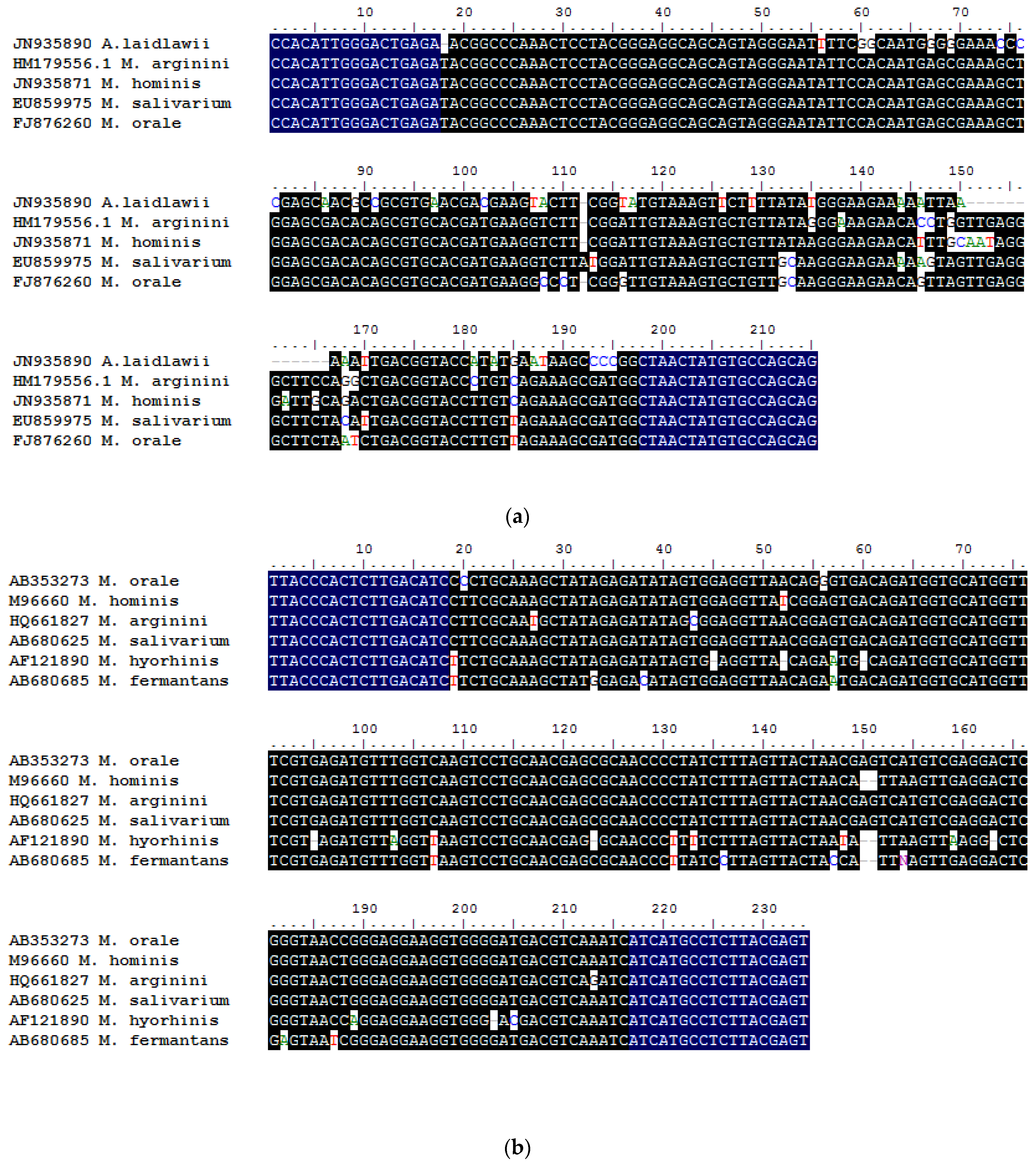 Diagnostics 11 00876 g001a