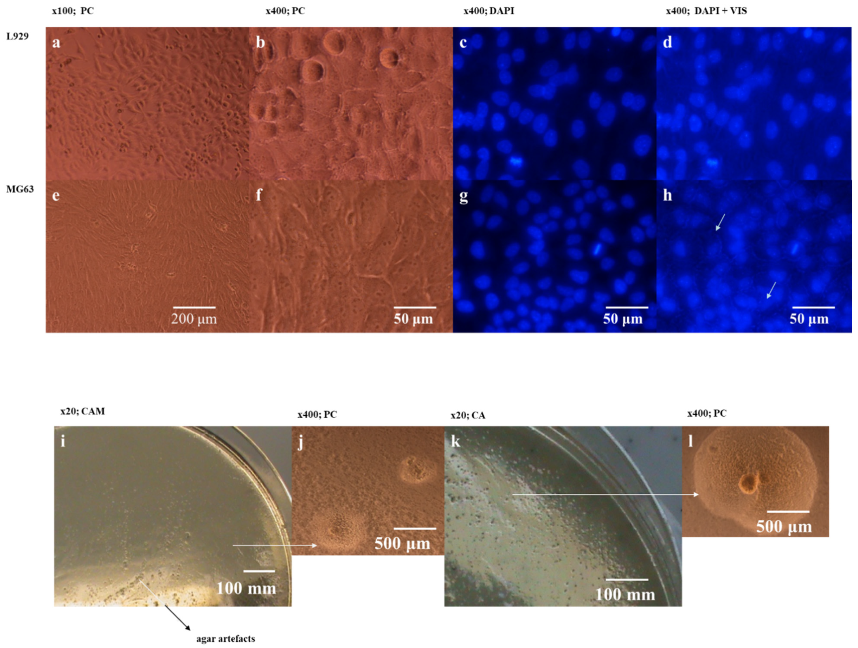 Diagnostics 11 00876 g004