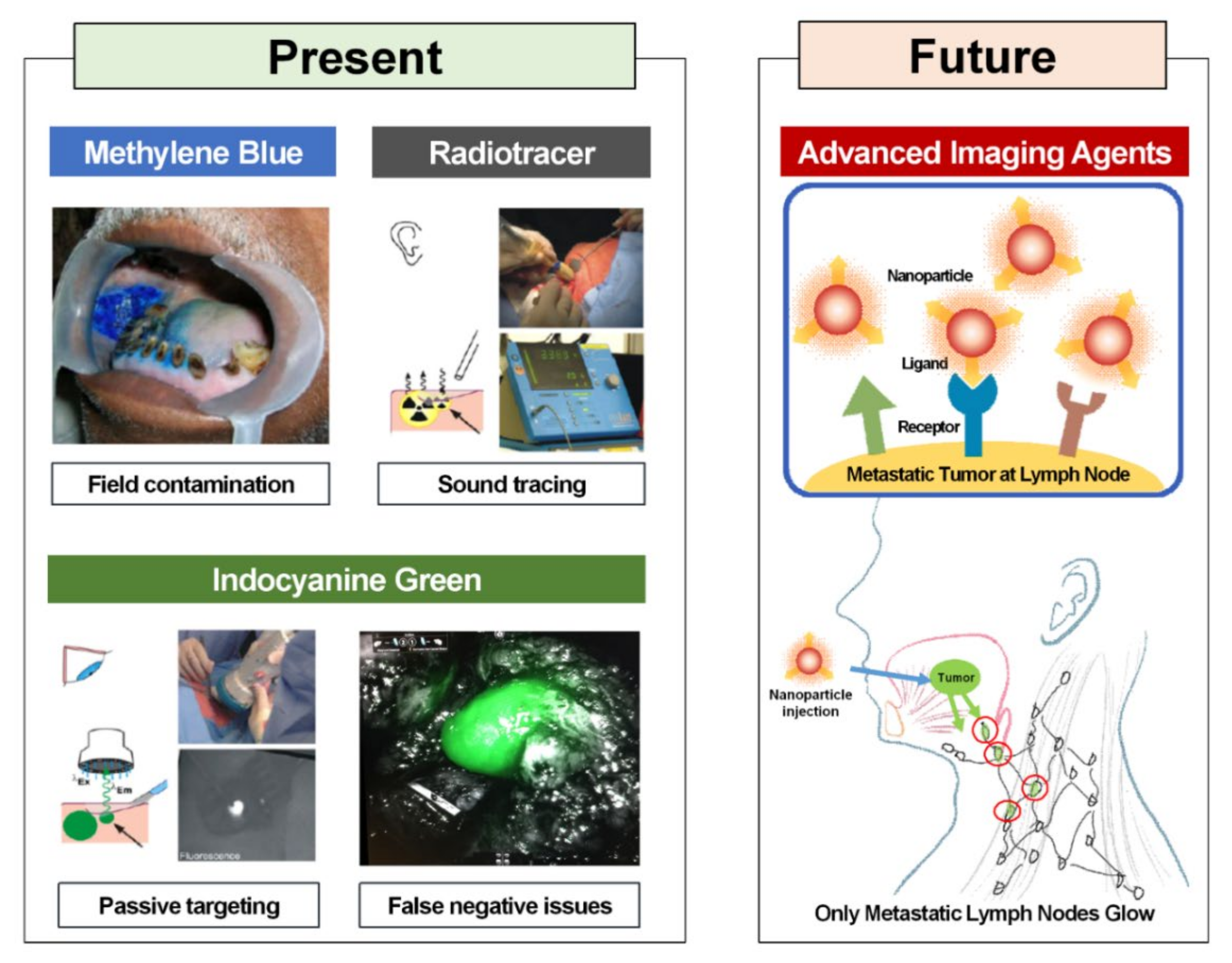 Diagnostics 11 00891 g002 Diagnostics 11 00891 g002