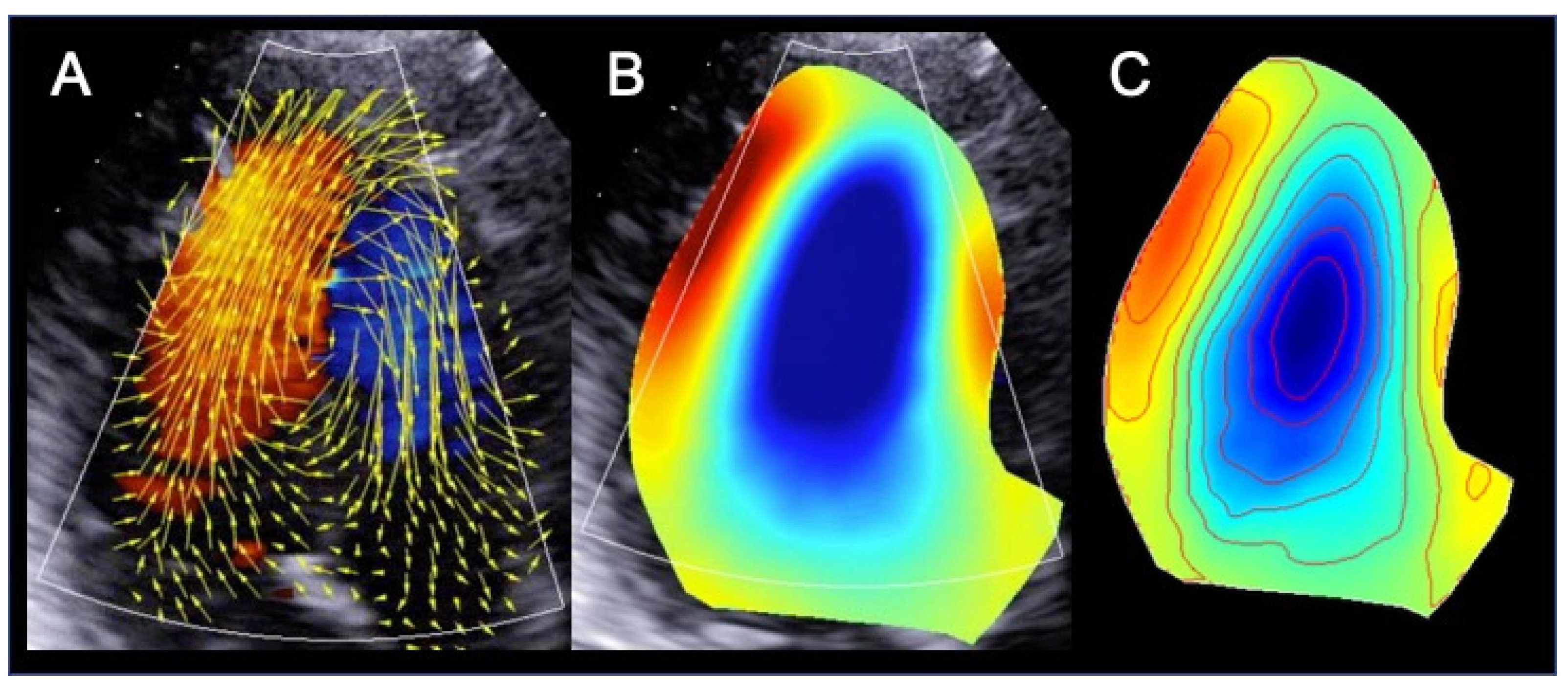Diagnostics 11 00892 g002 Diagnostics 11 00892 g002