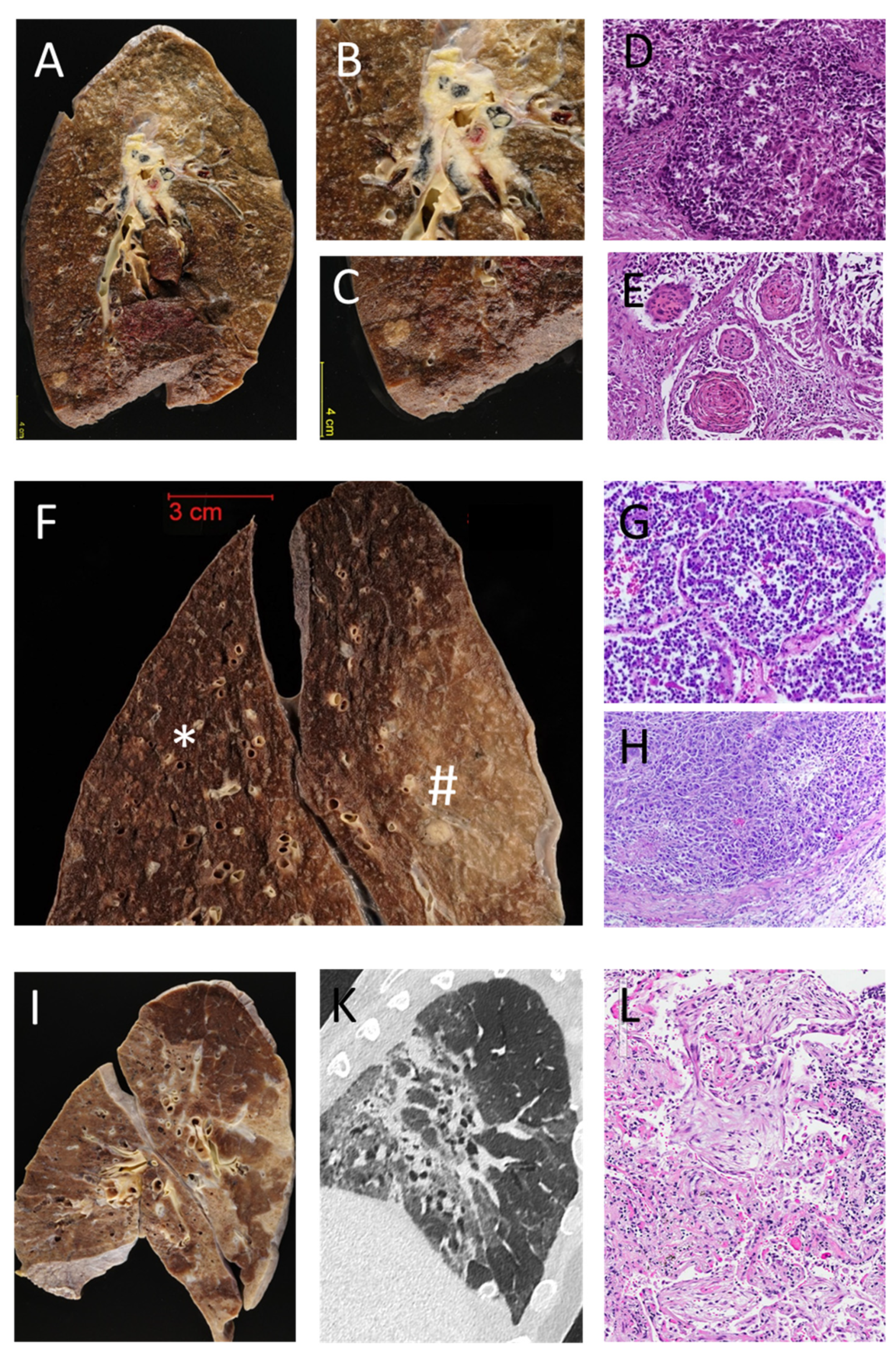 Diagnostics 11 00894 g001 Diagnostics 11 00894 g001