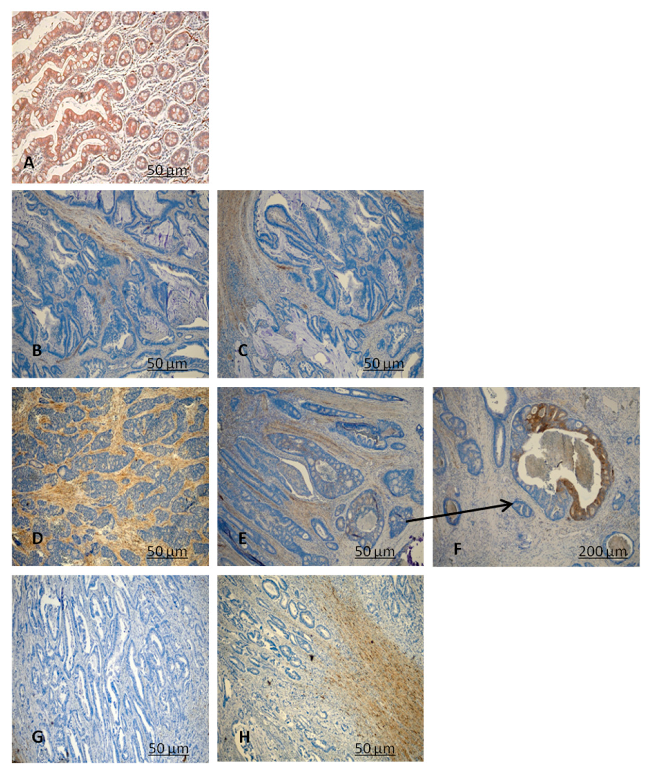 Diagnostics 11 00896 g001