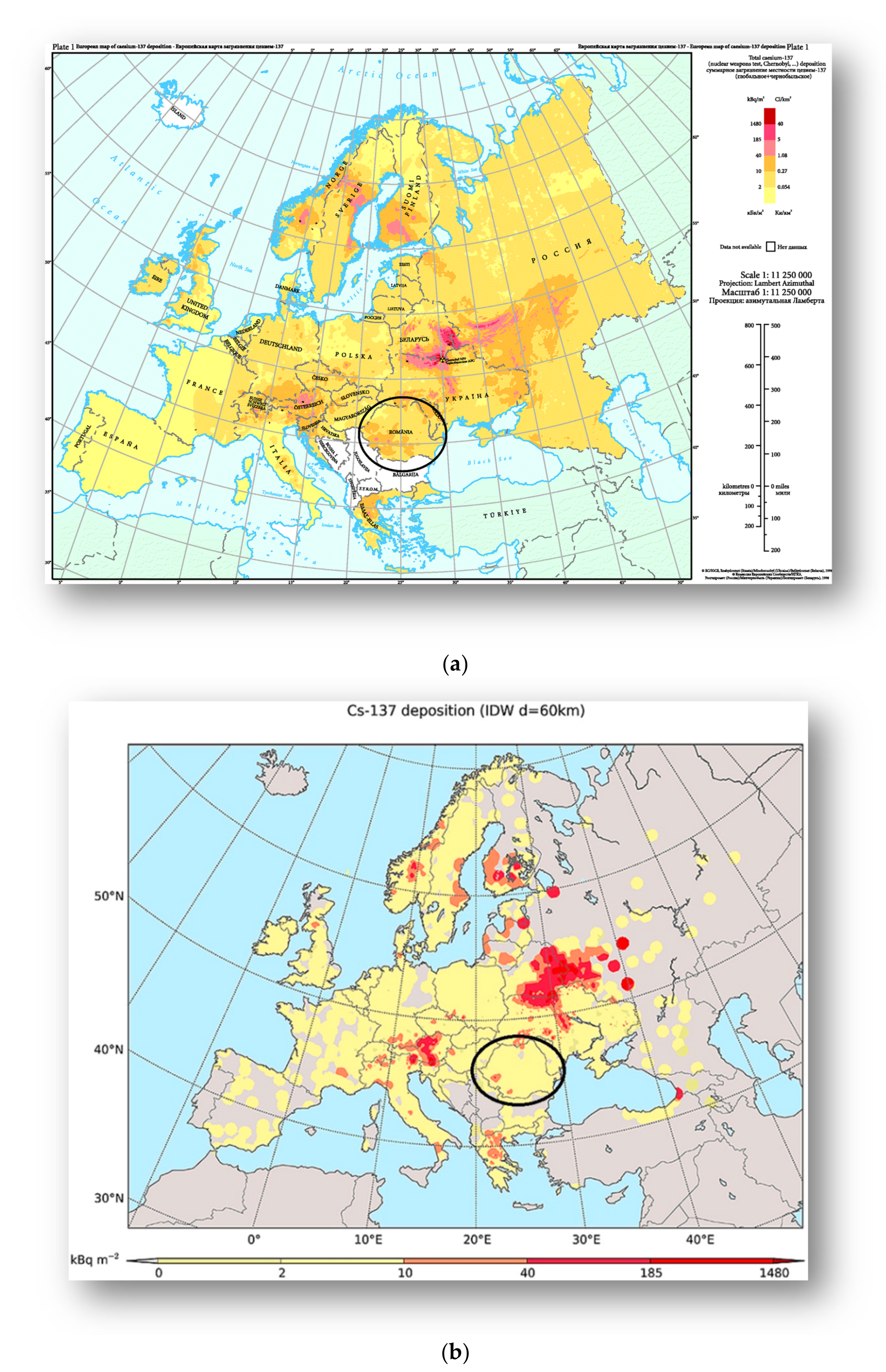 Diagnostics 11 00907 g005