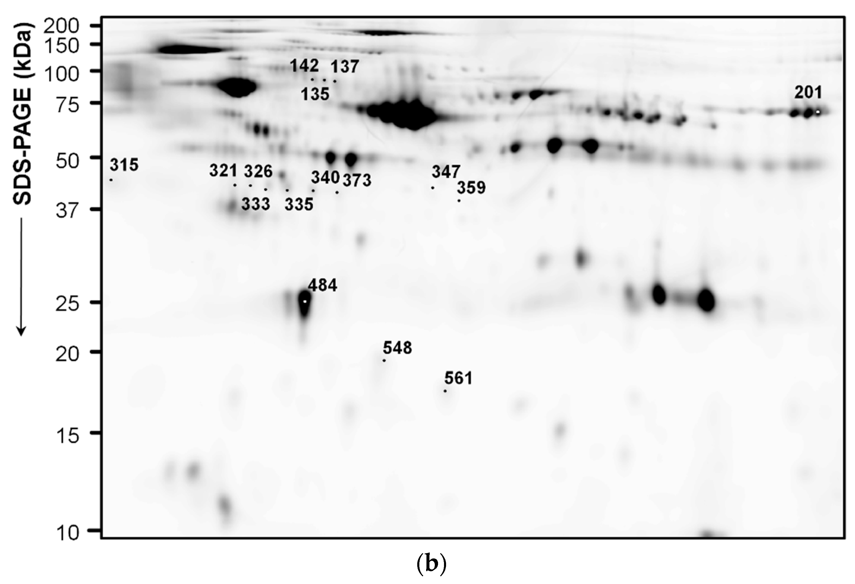 Diagnostics 11 00917 g004b Diagnostics 11 00917 g004b