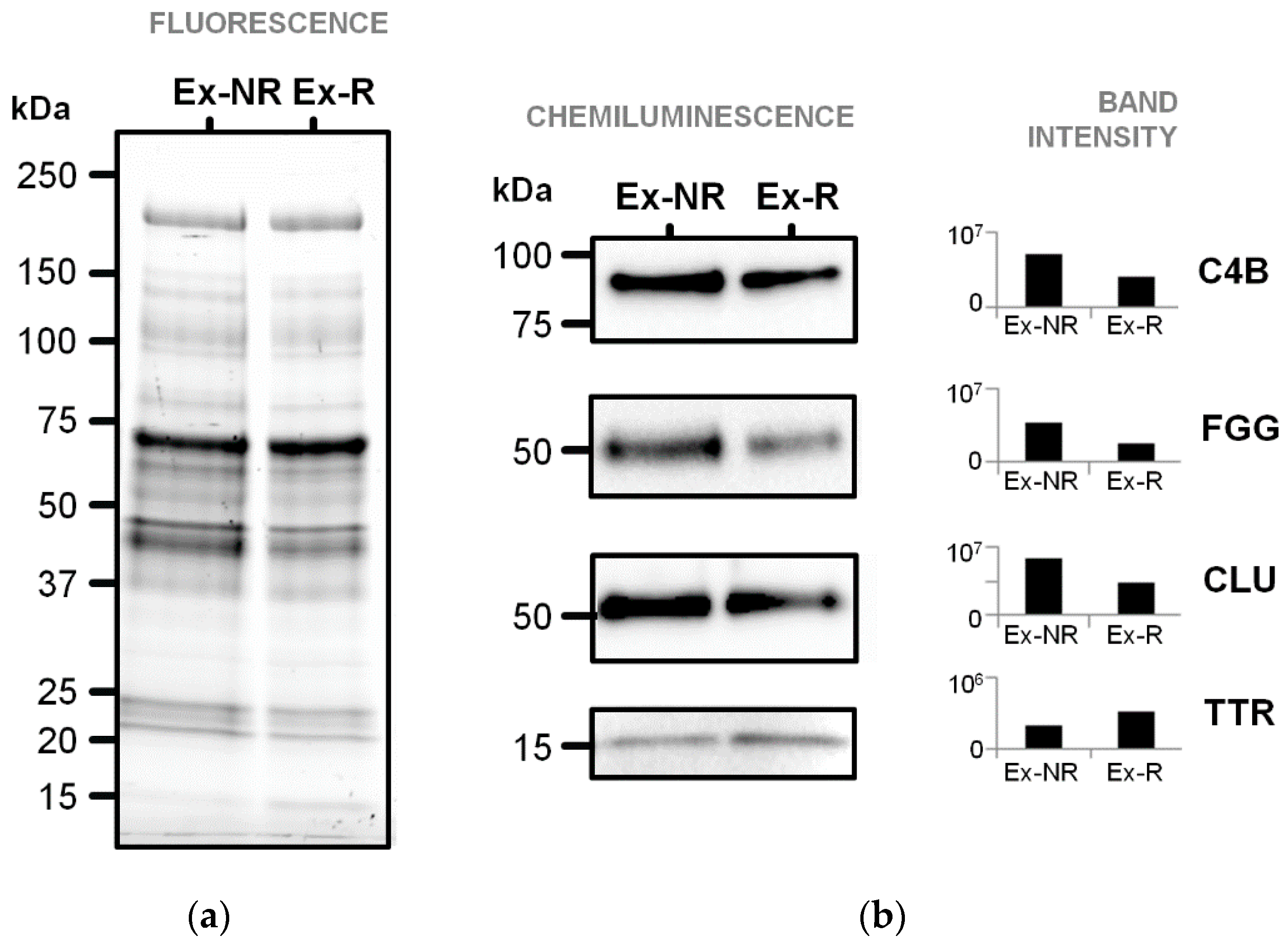 Diagnostics 11 00917 g006 Diagnostics 11 00917 g006