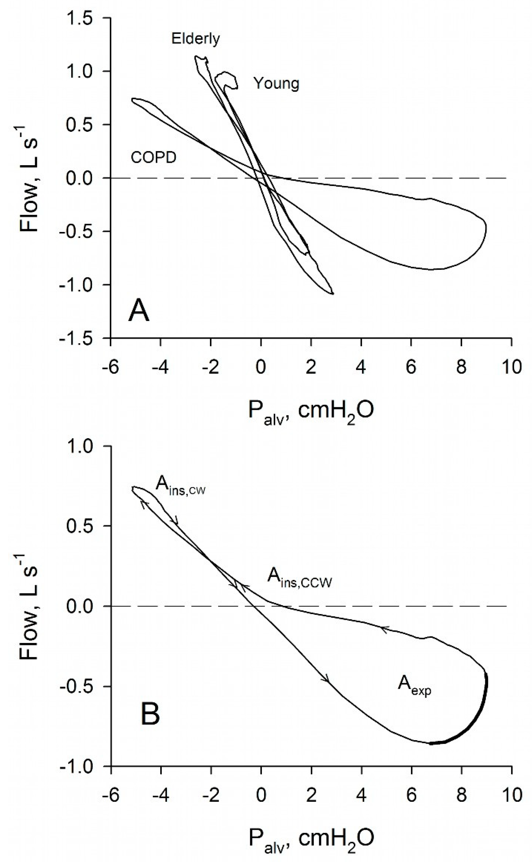 Diagnostics 11 00918 g001