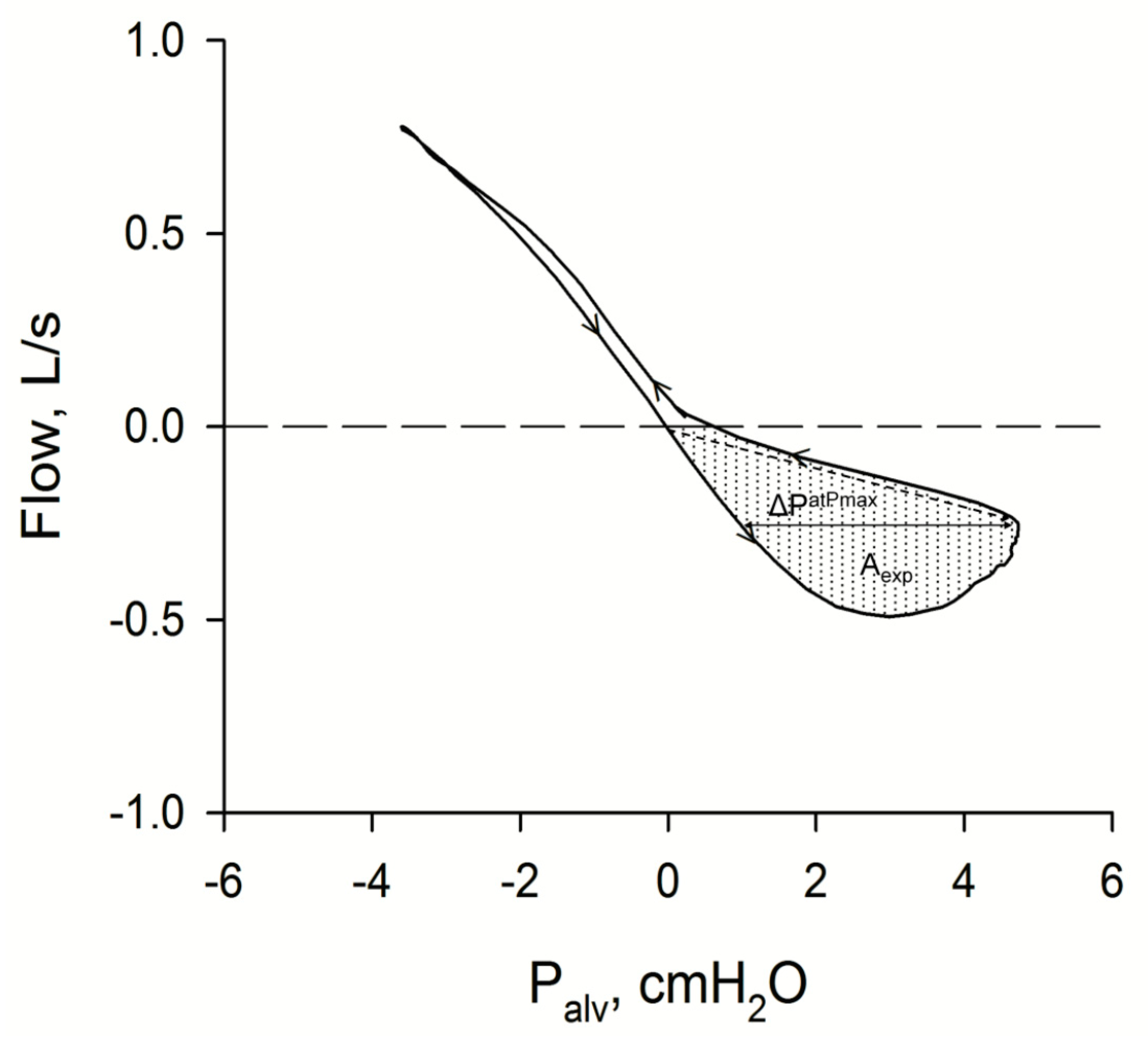 Diagnostics 11 00918 g002
