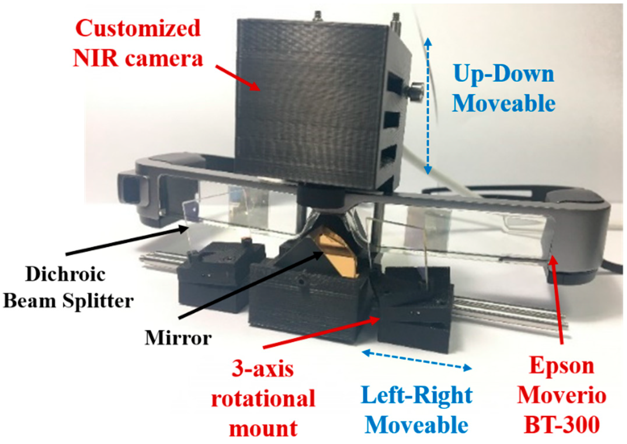 Diagnostics 11 00927 g001